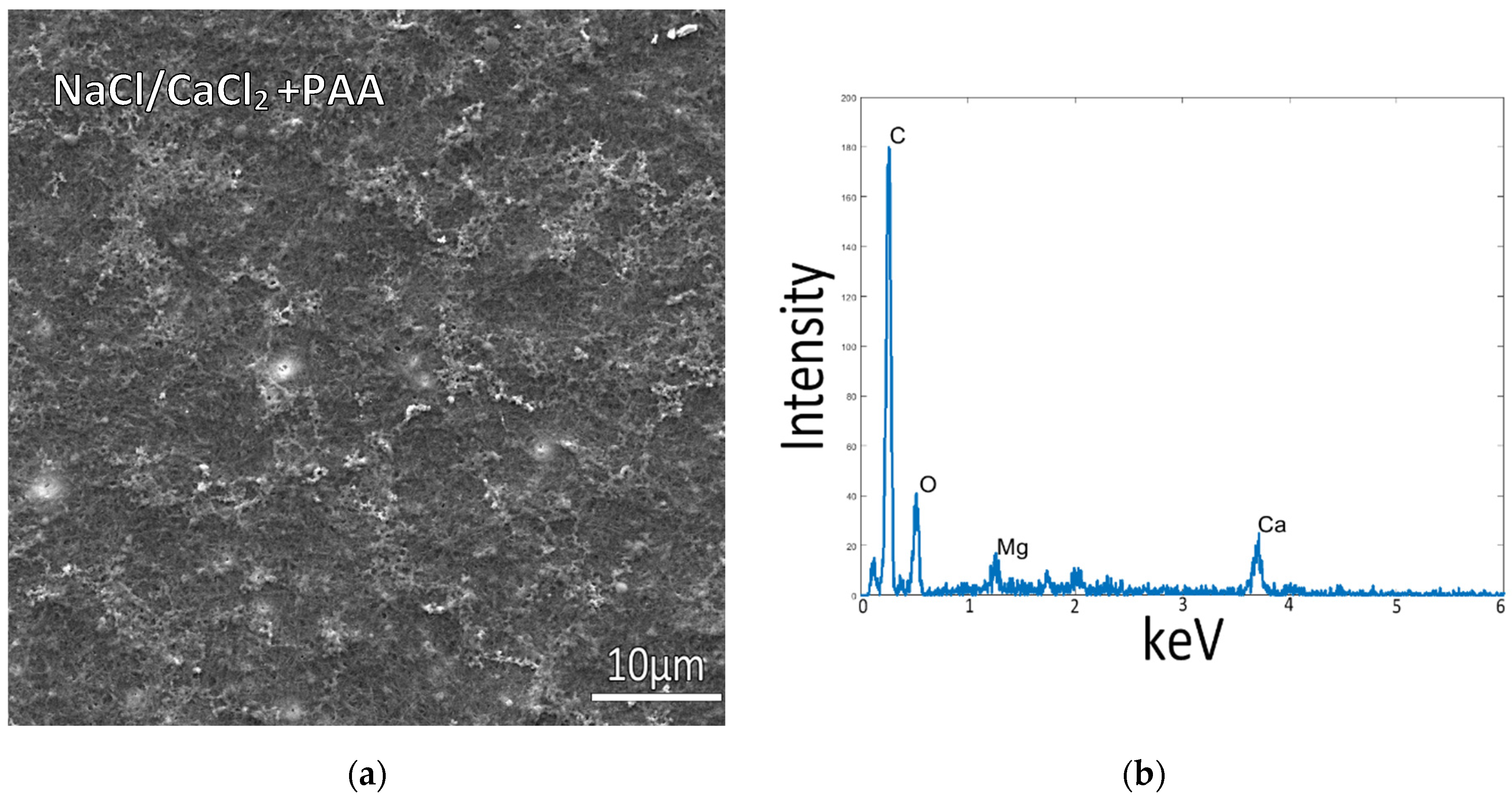Biomimetics 07 00086 g003 Biomimetics 07 00086 g003