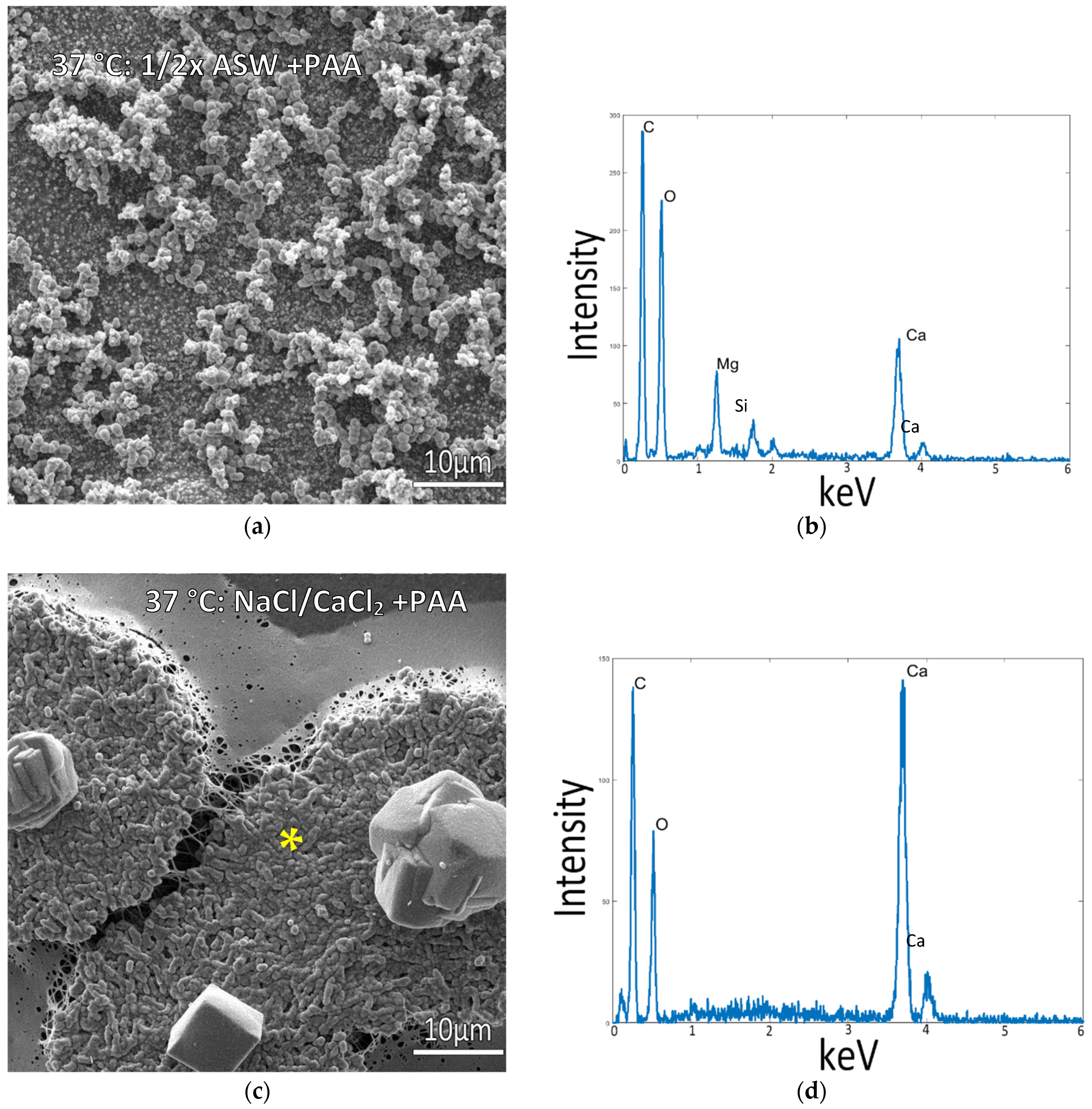 Biomimetics 07 00086 g004 Biomimetics 07 00086 g004