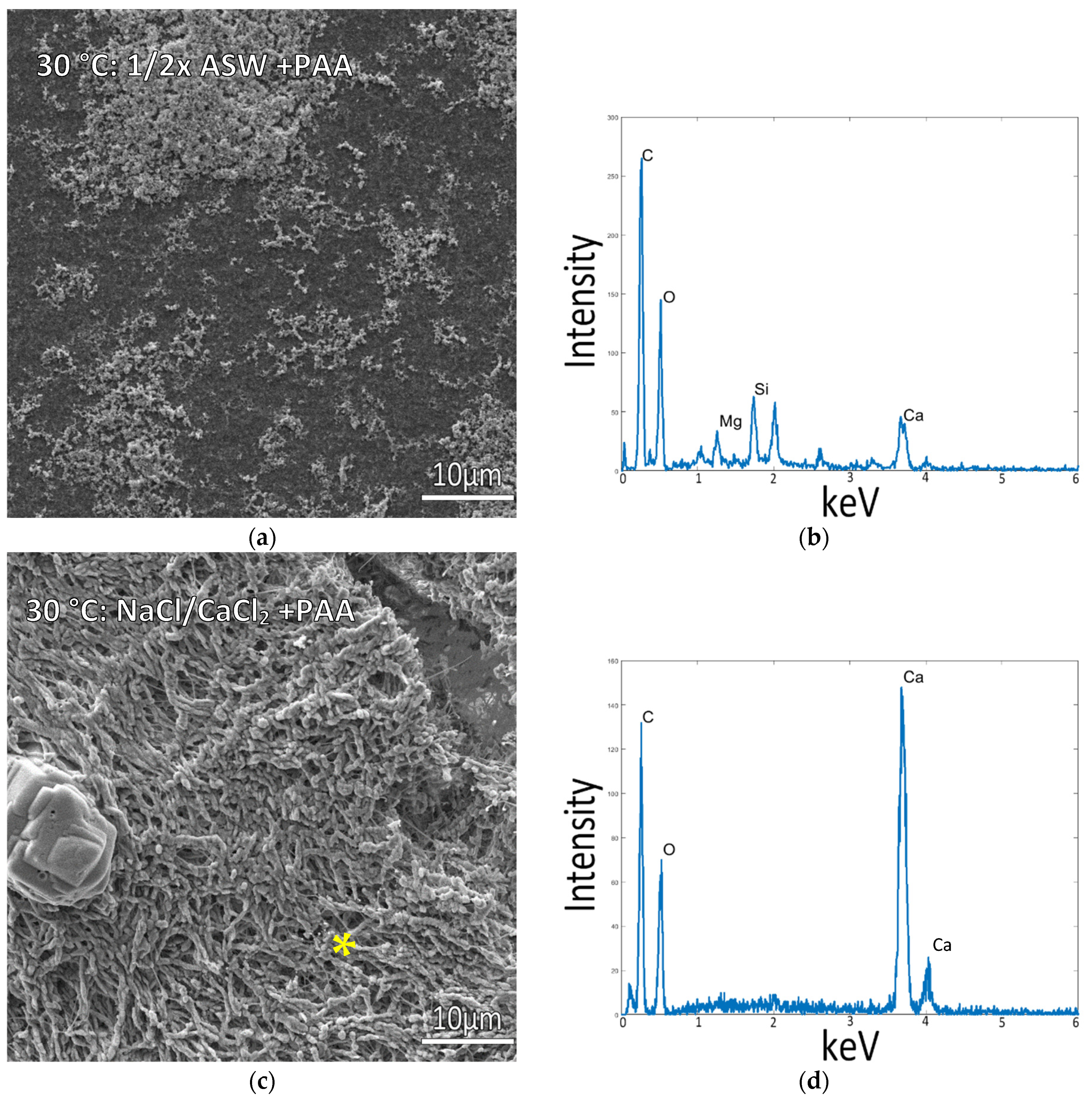 Biomimetics 07 00086 g005 Biomimetics 07 00086 g005