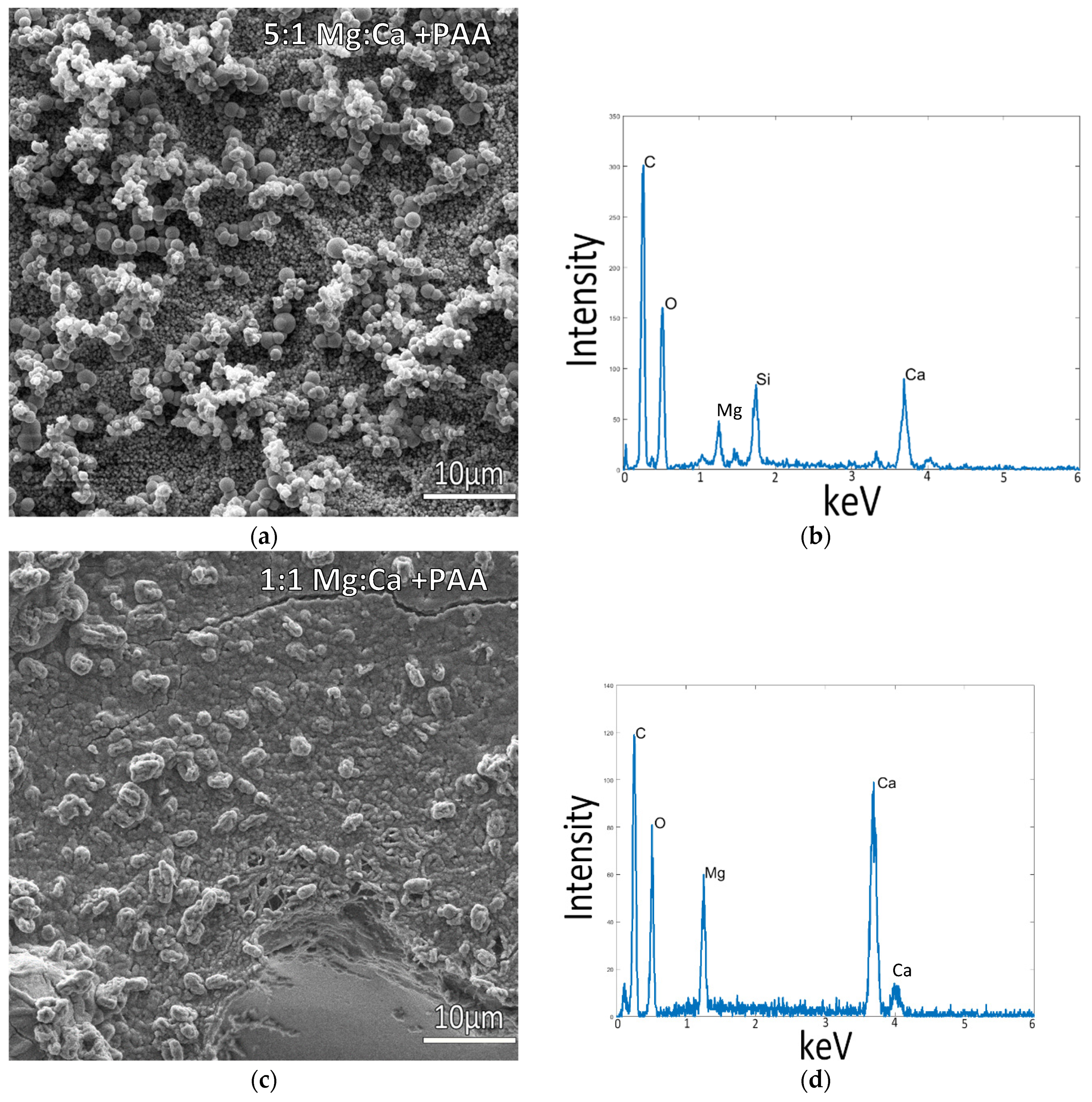 Biomimetics 07 00086 g006 Biomimetics 07 00086 g006