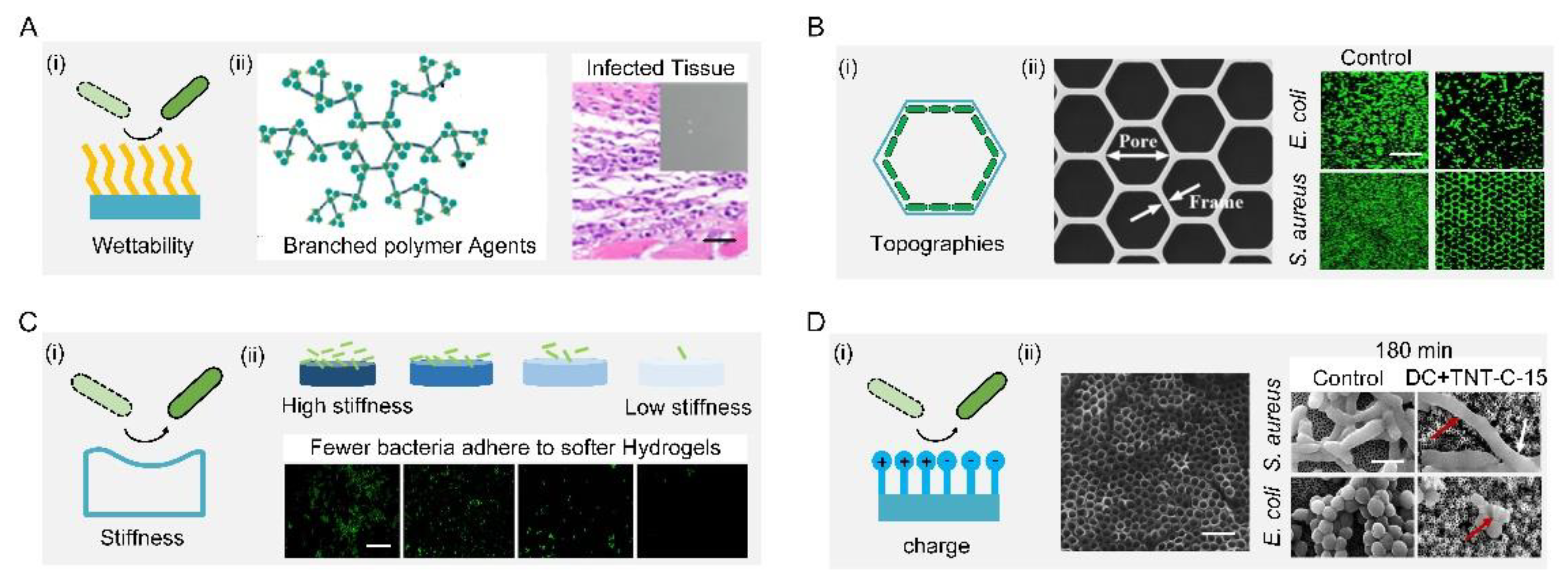 Biomimetics 07 00088 g004 550