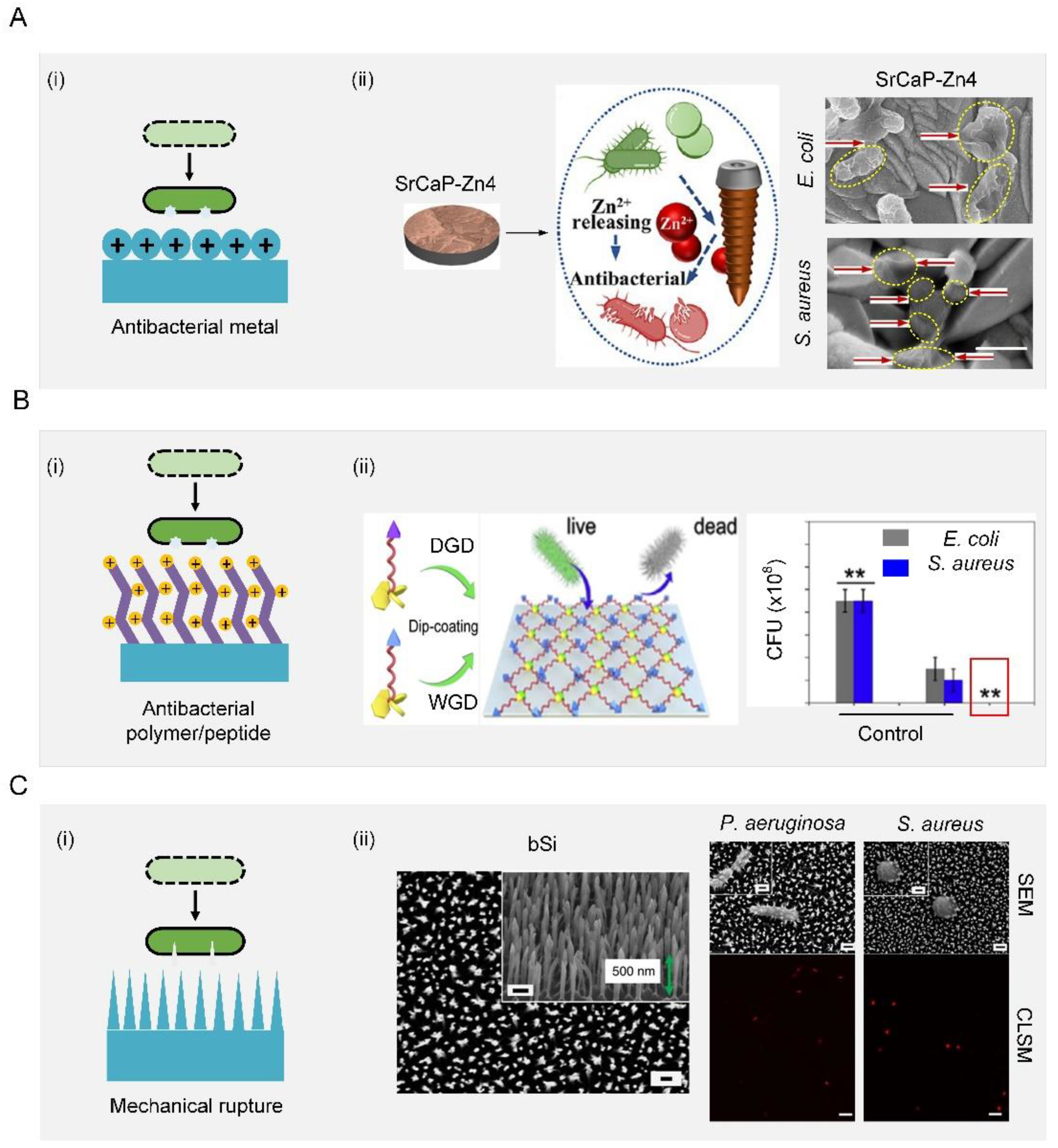 Biomimetics 07 00088 g005 550