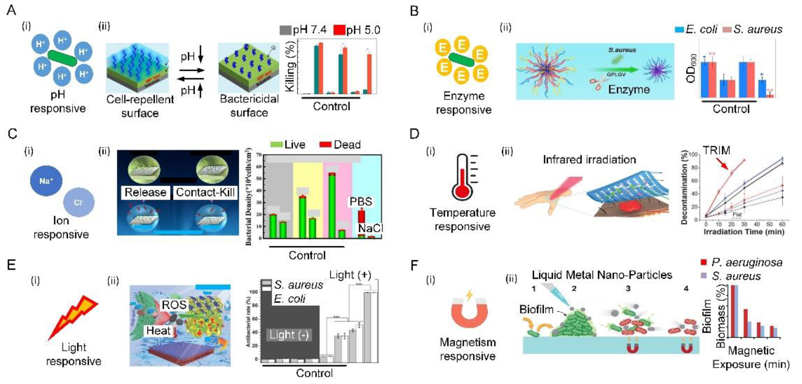 Biomimetics 07 00088 g006 550
