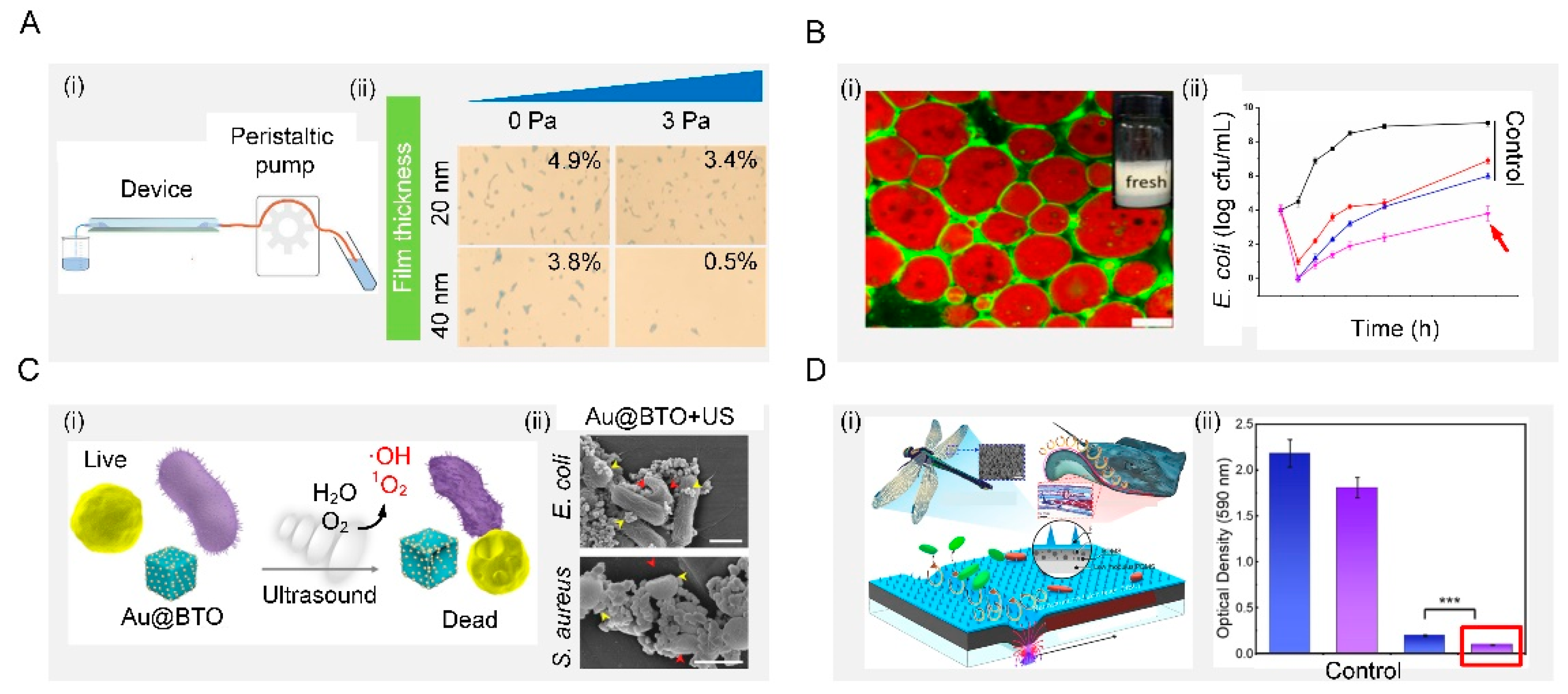 Biomimetics 07 00088 g007 550