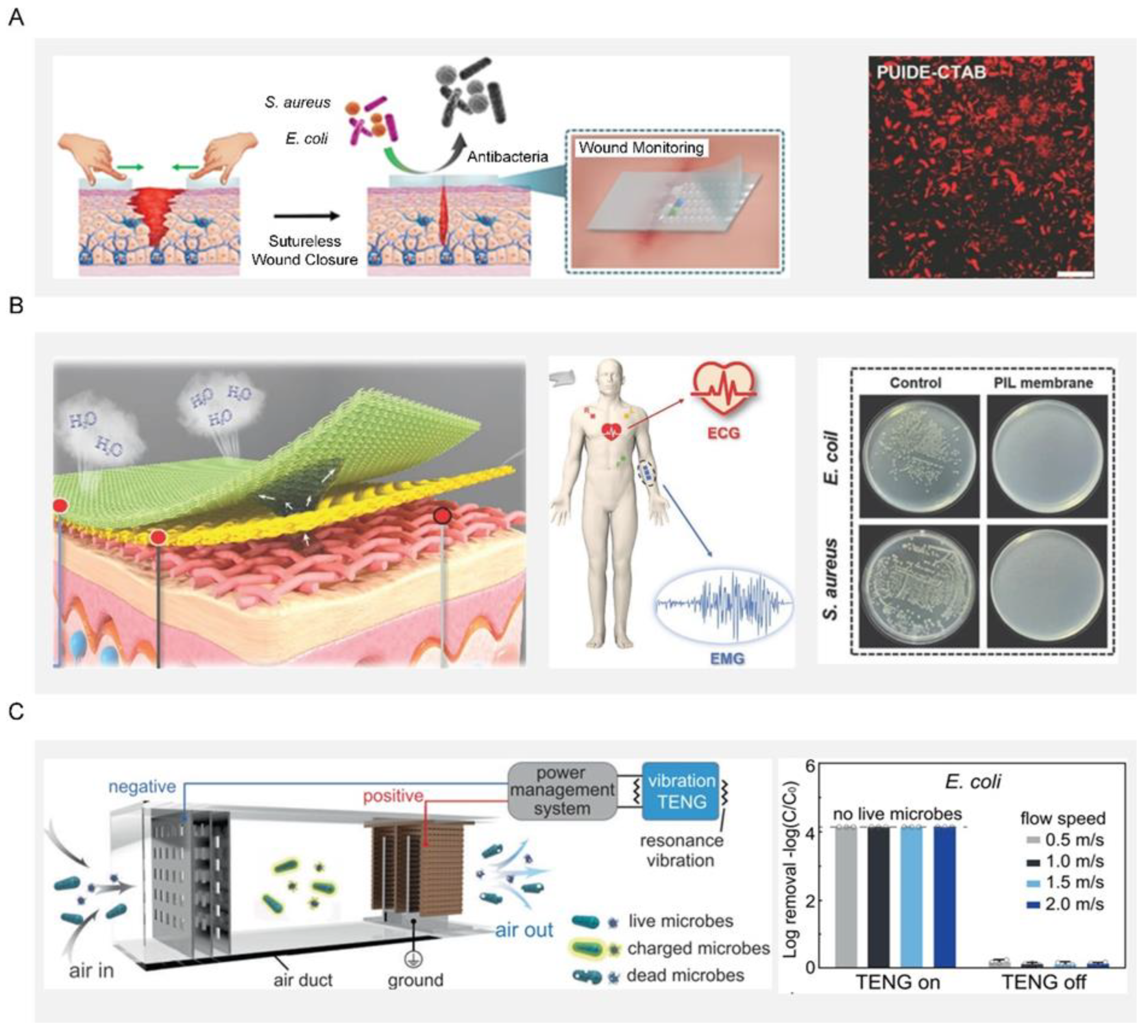 Biomimetics 07 00088 g008 550