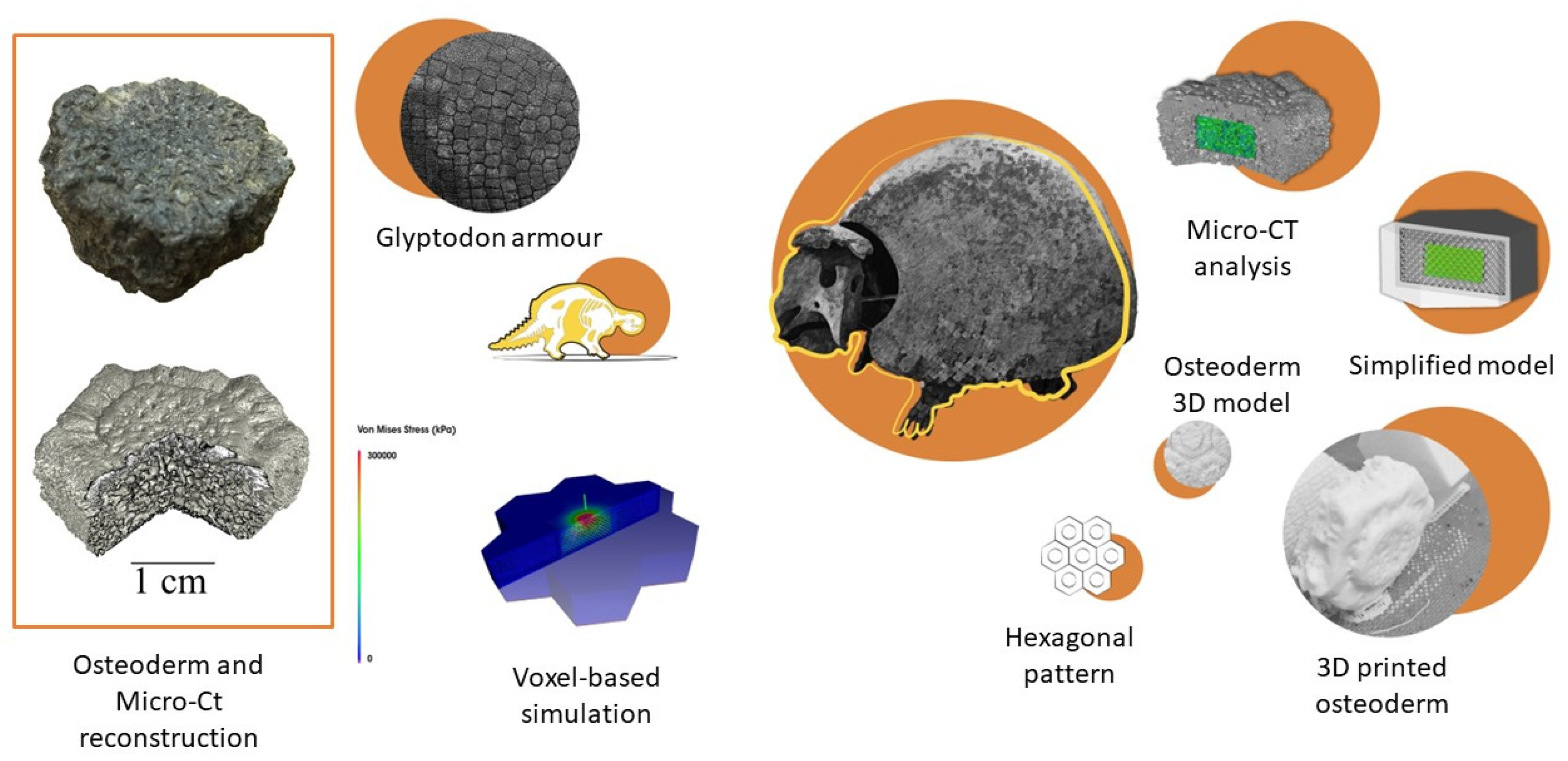 Biomimetics 07 00089 g003 Biomimetics 07 00089 g003