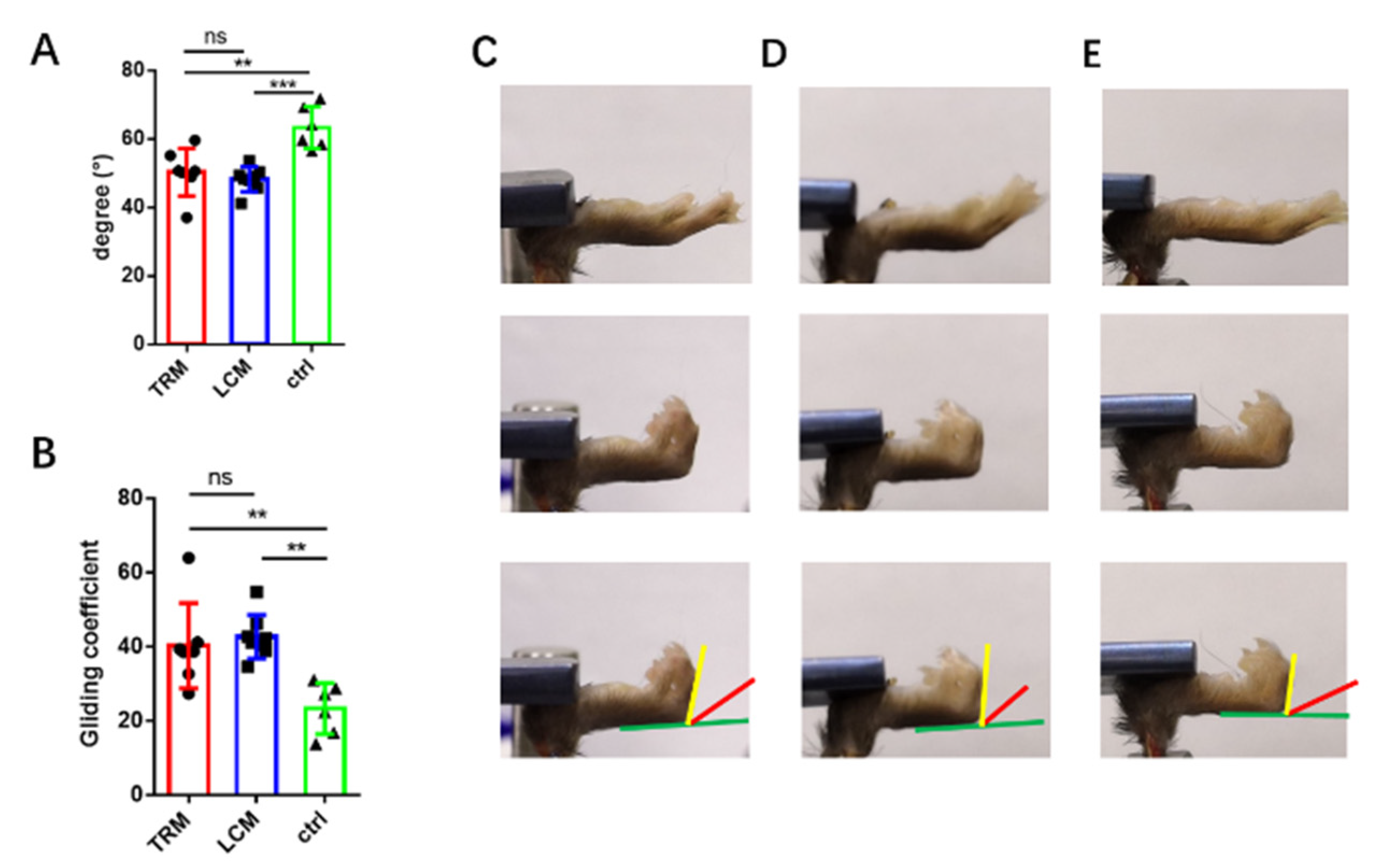 Biomimetics 07 00092 g003 550