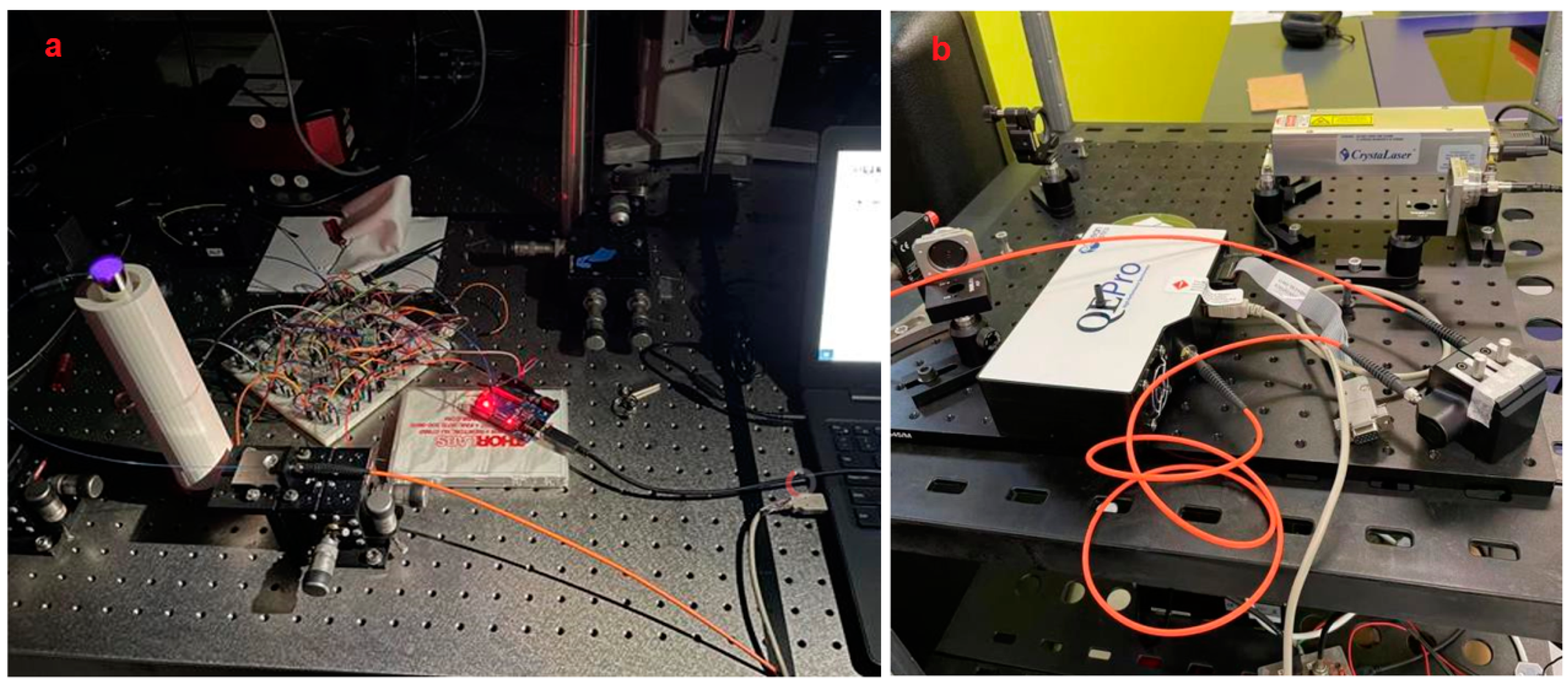 Biomimetics 07 00094 g009 550