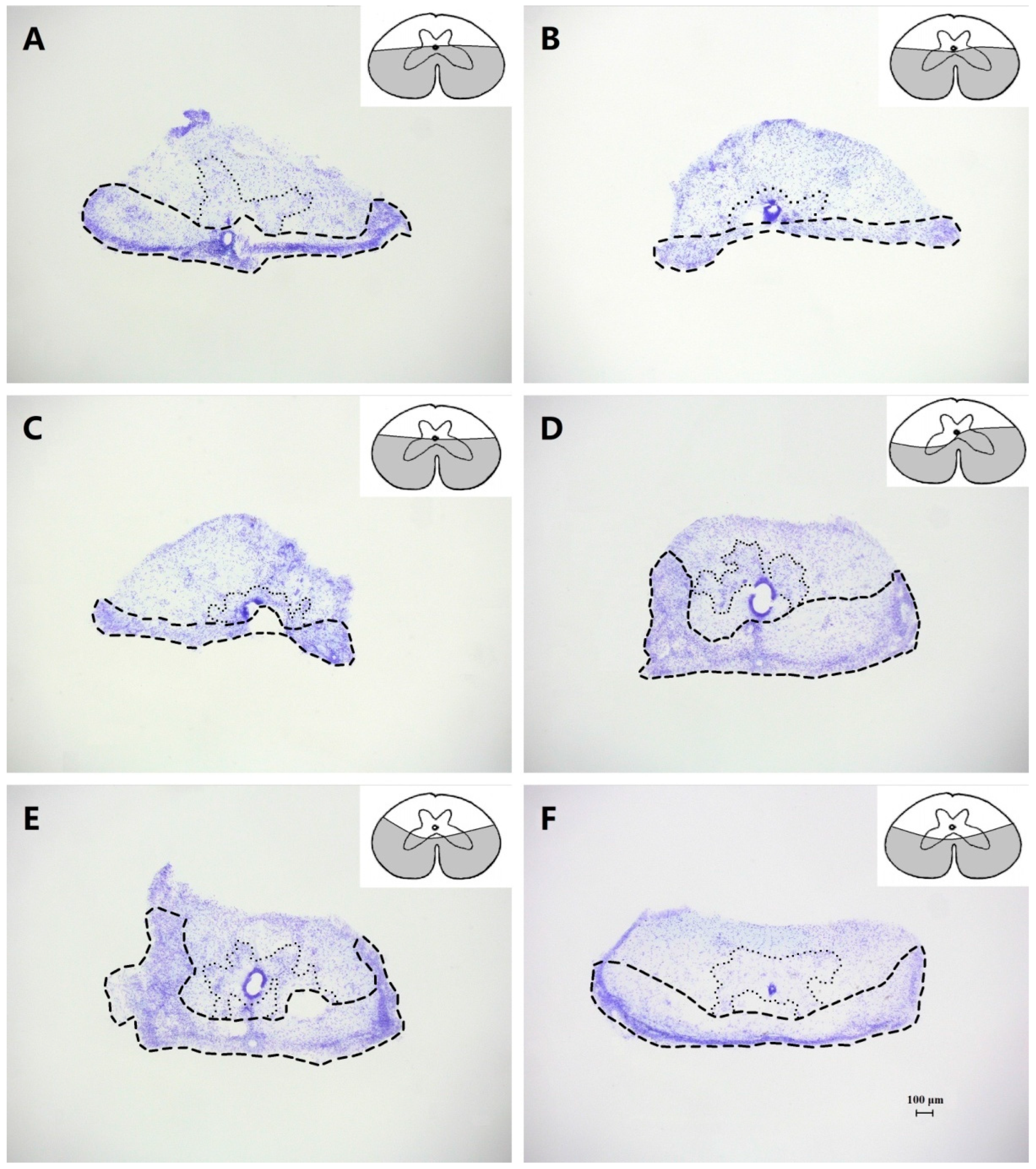 Biomimetics 07 00098 g004 Biomimetics 07 00098 g004
