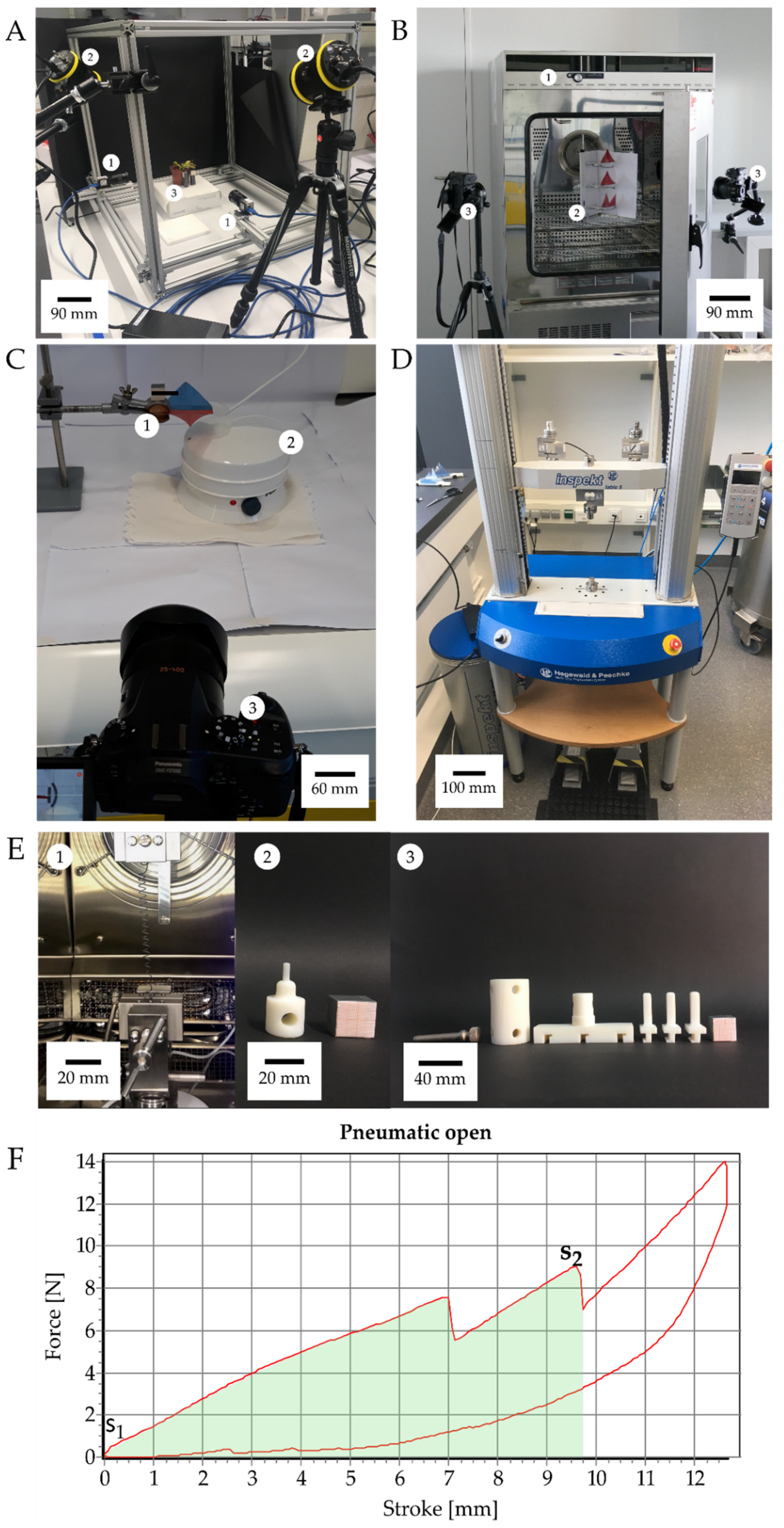 Biomimetics 07 00099 g002