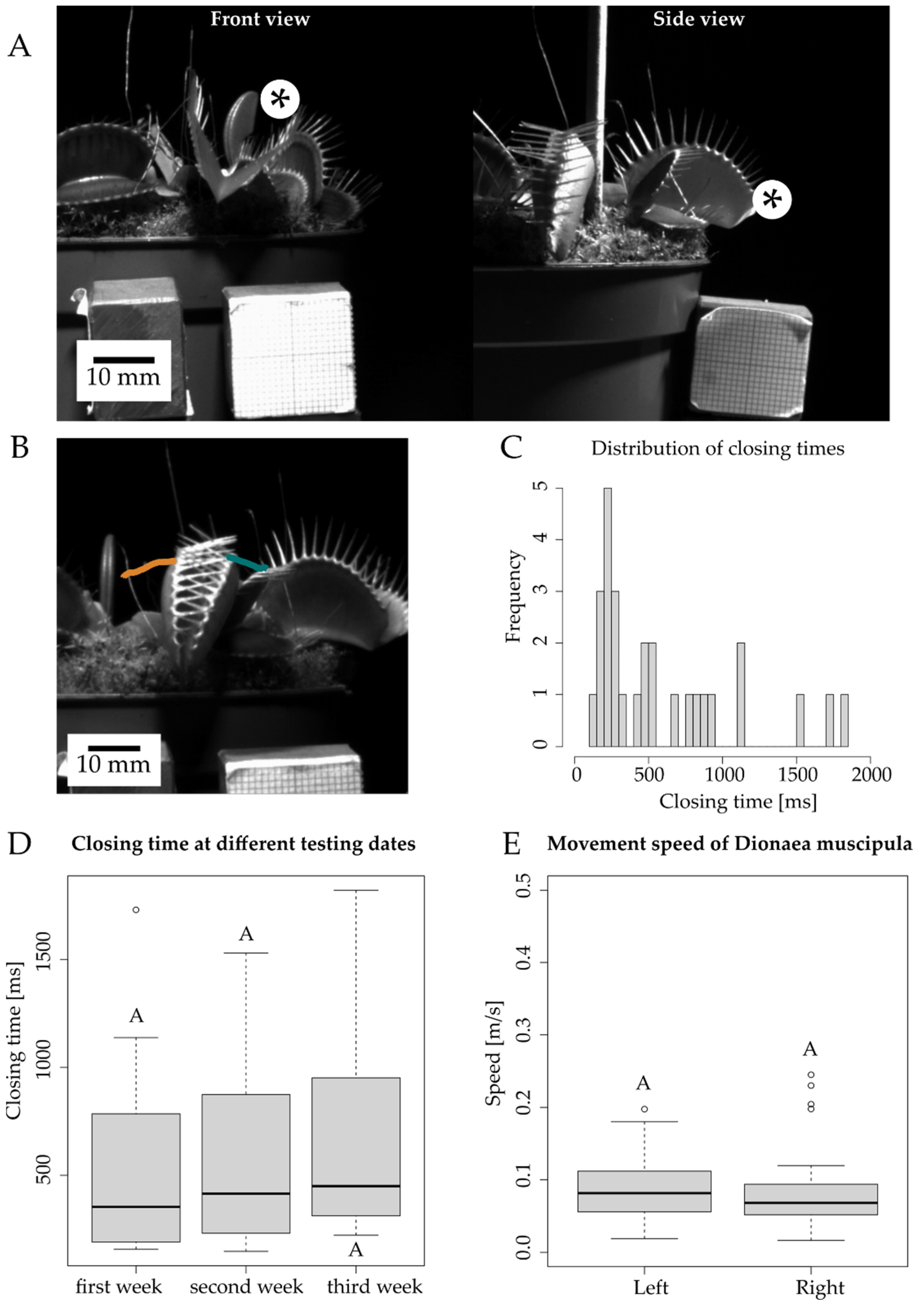 Biomimetics 07 00099 g003