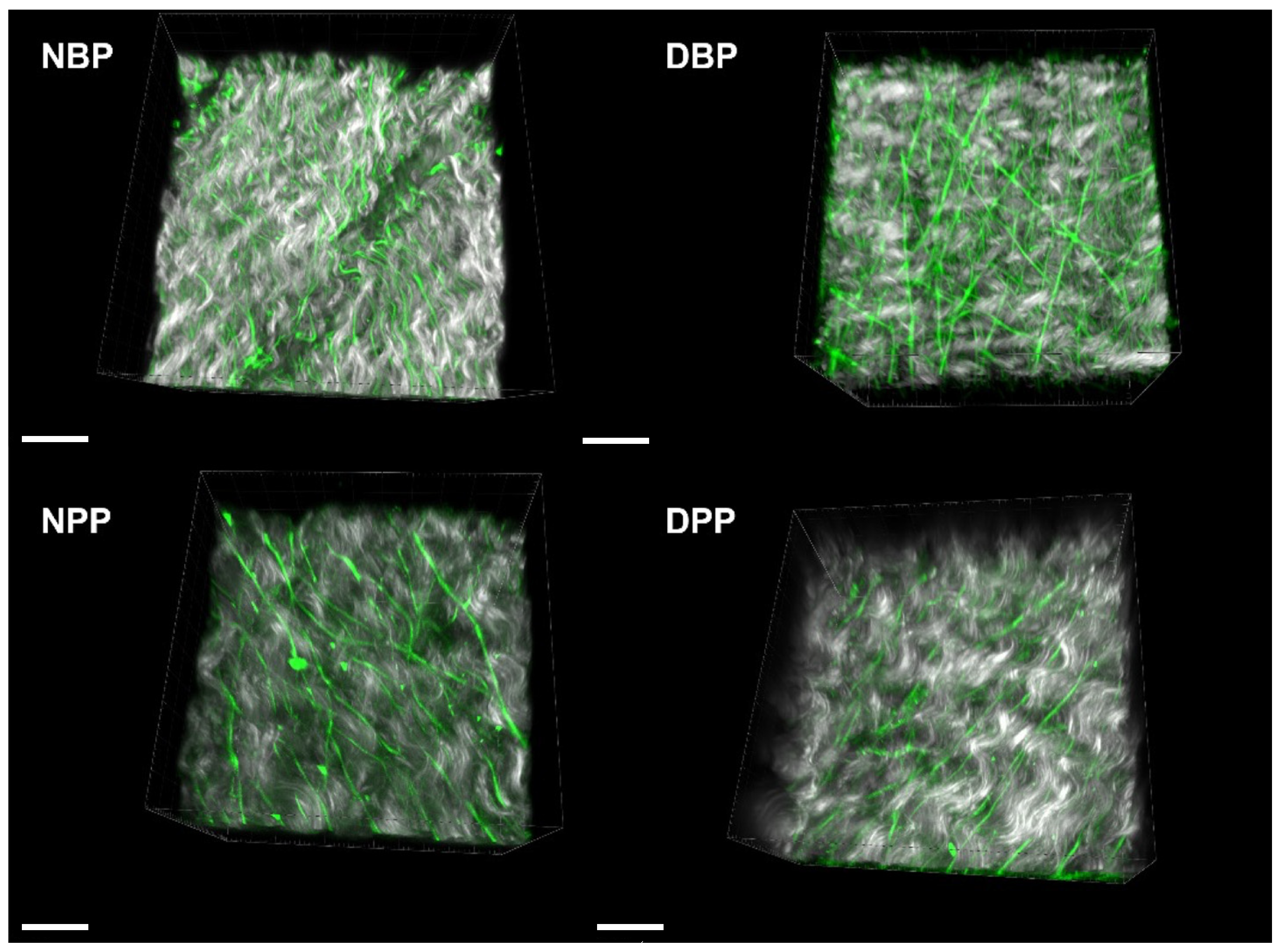 Biomimetics 07 00104 g005 Biomimetics 07 00104 g005