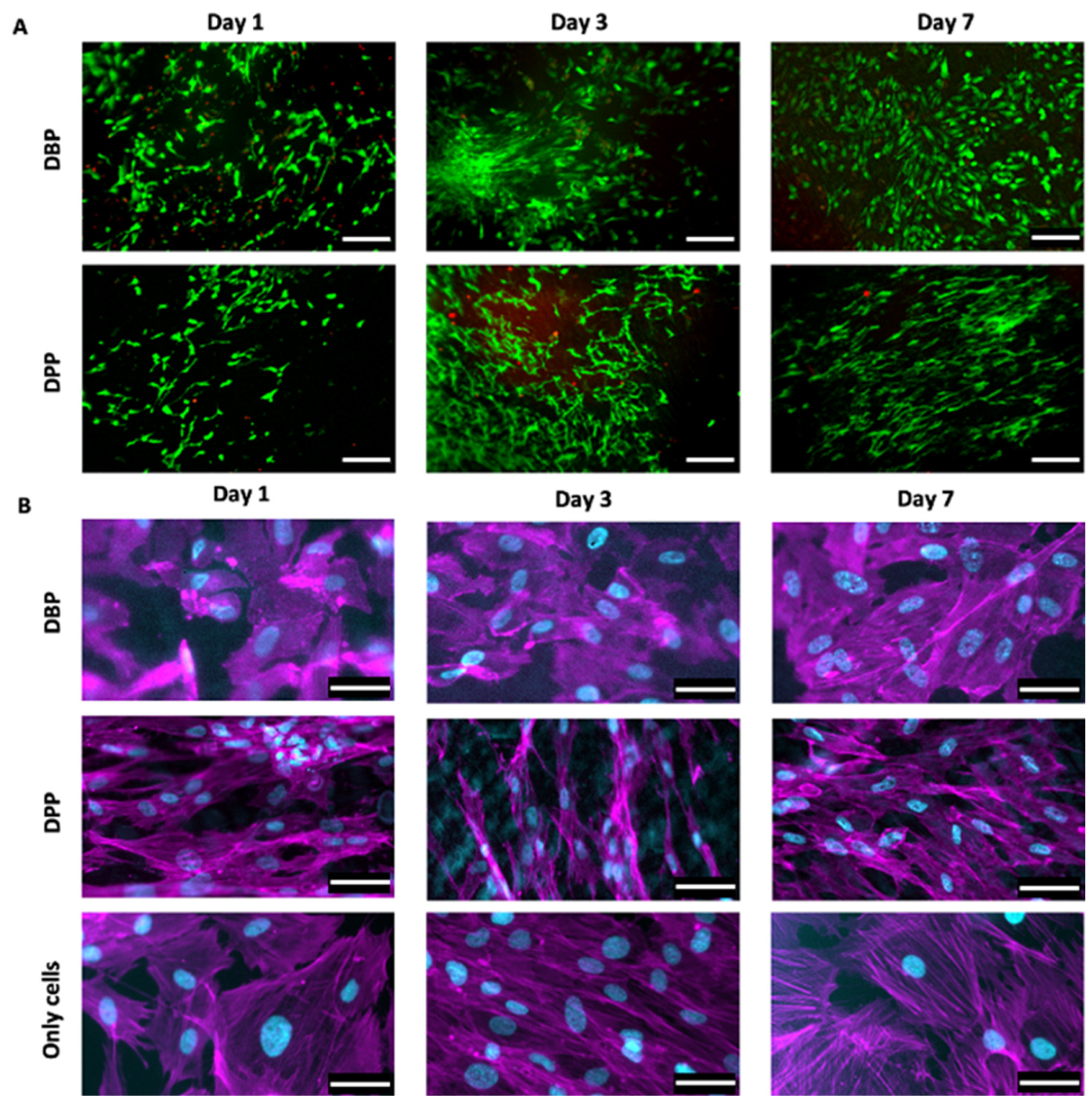 Biomimetics 07 00104 g007 Biomimetics 07 00104 g007