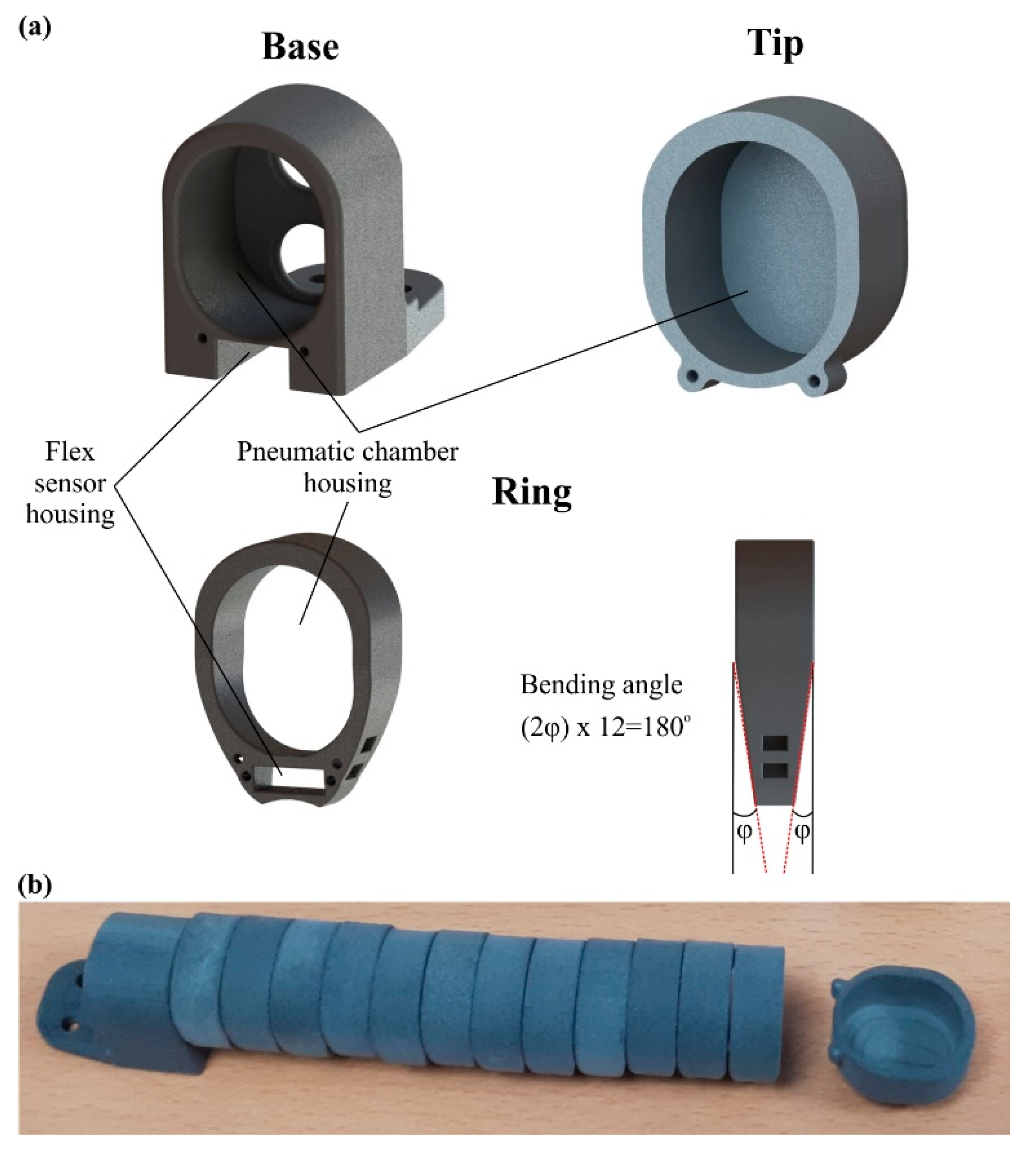 Biomimetics 07 00105 g004