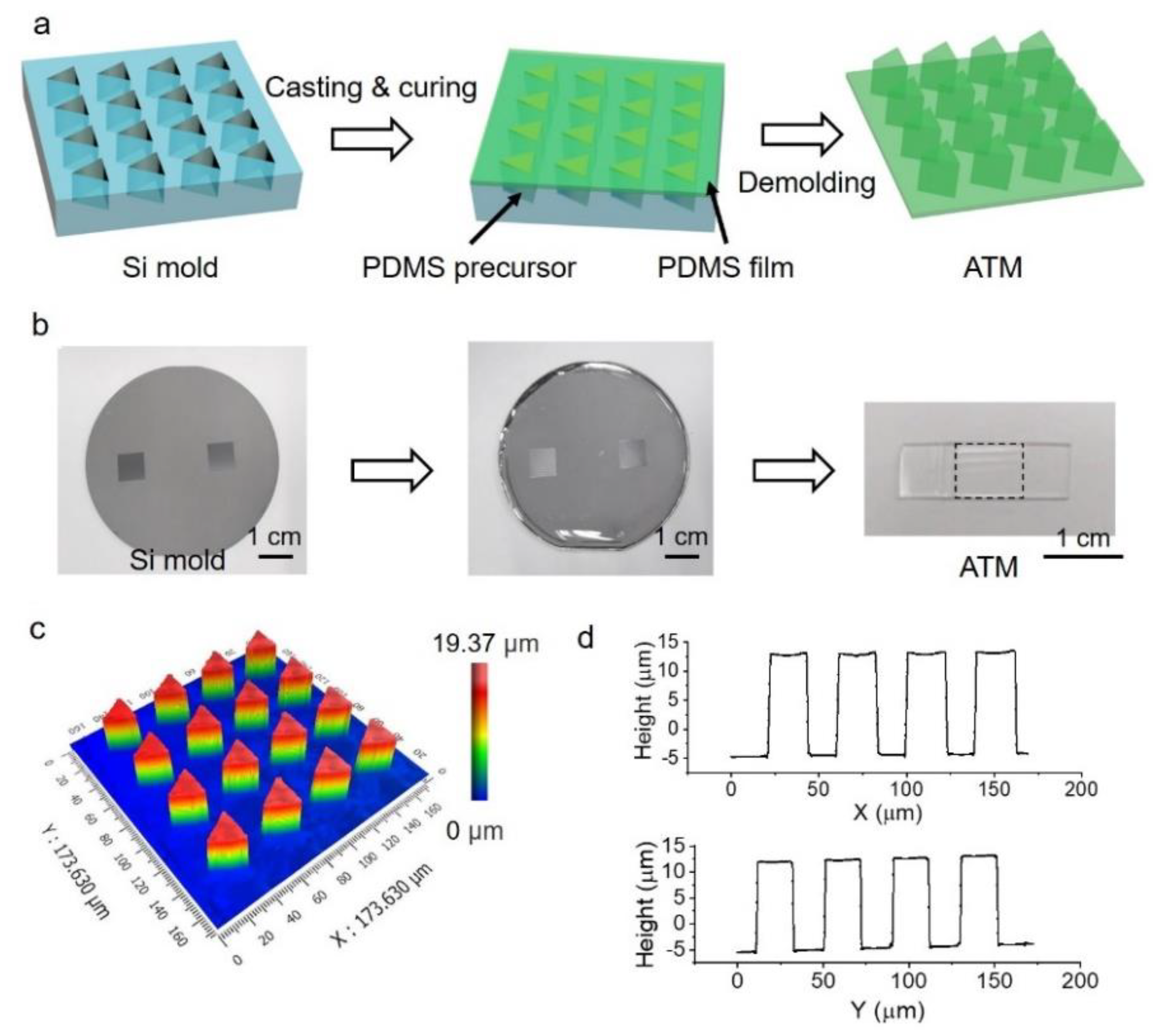 Biomimetics 07 00108 g001