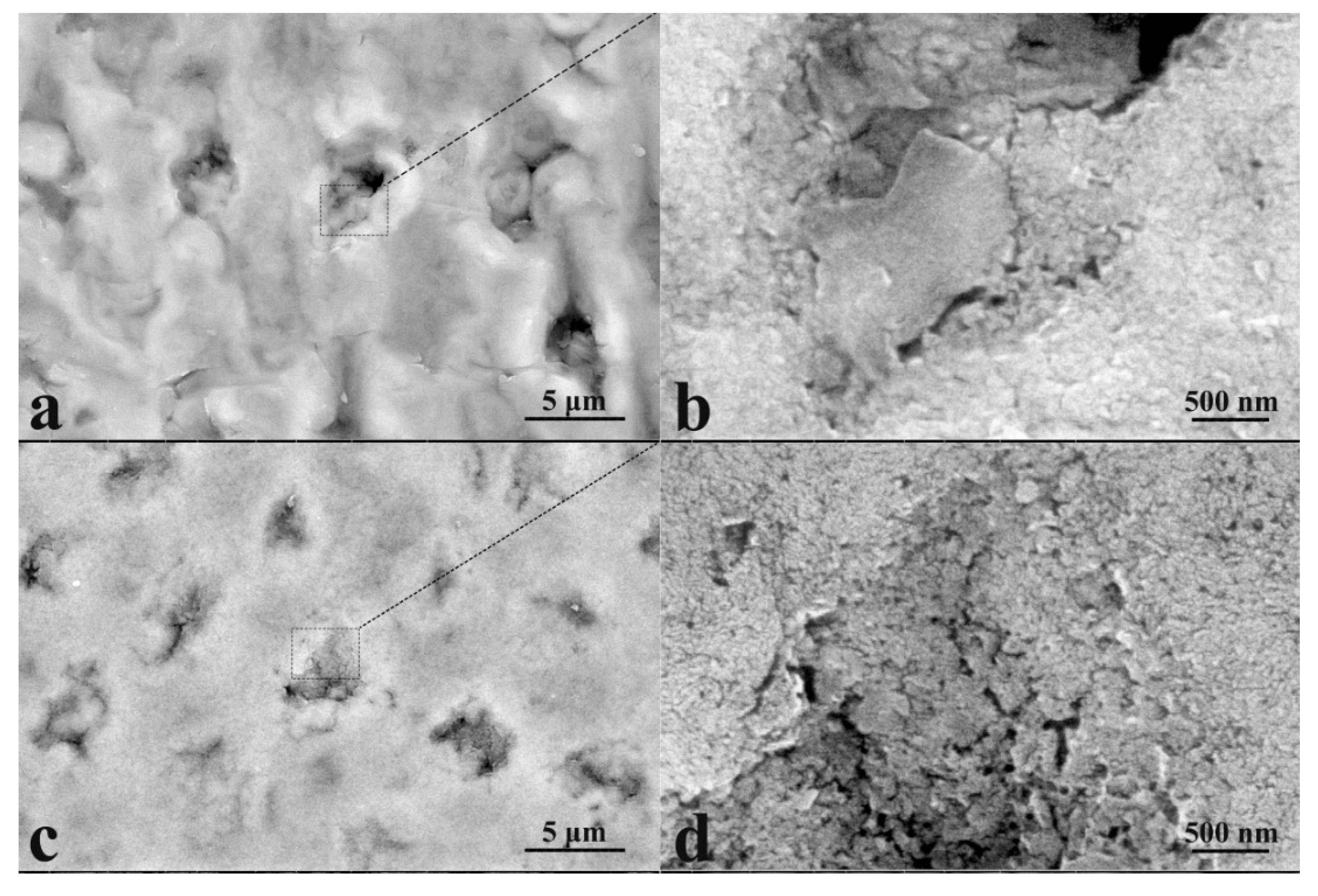 Biomimetics 07 00111 g005a 550