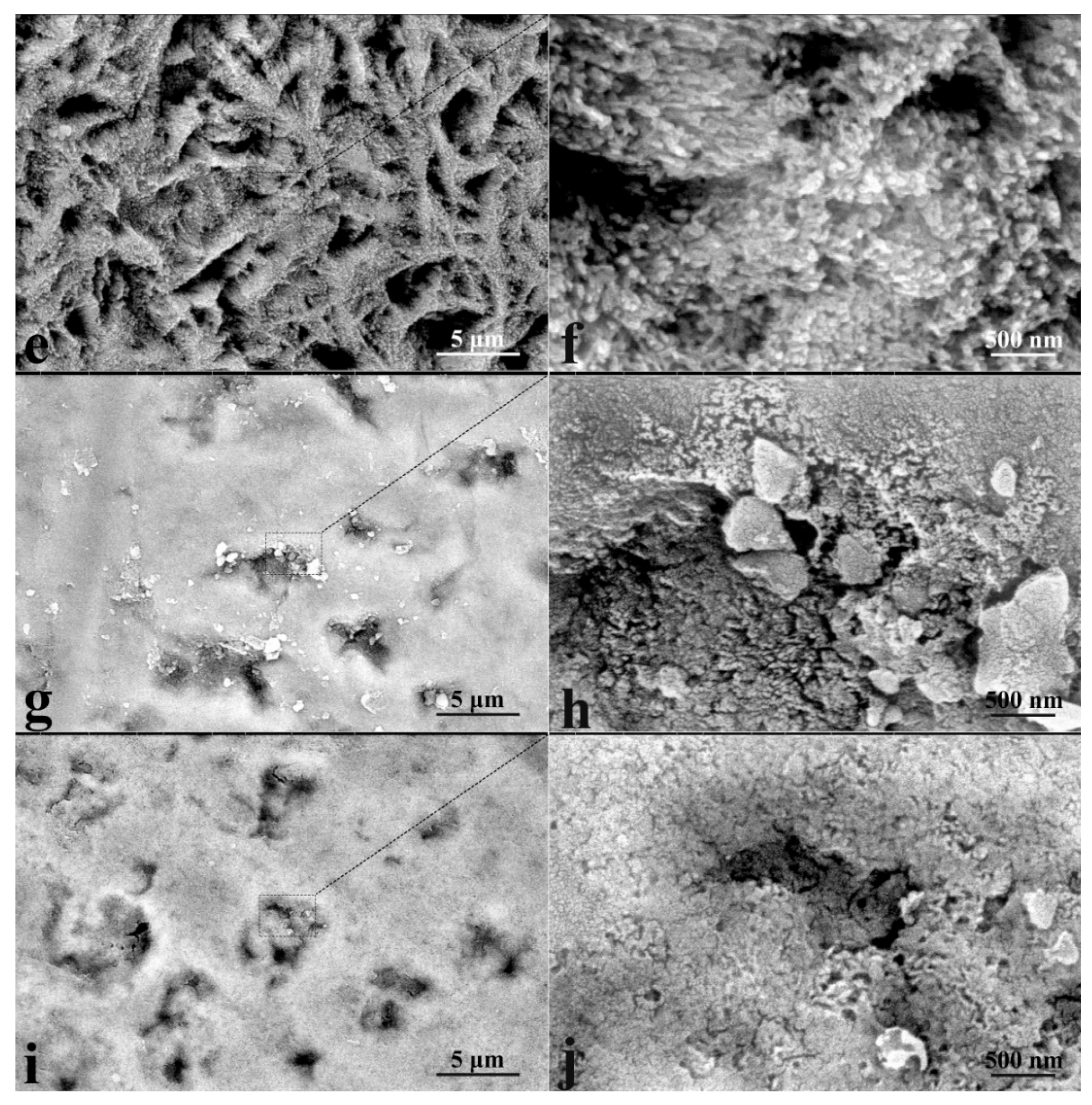 Biomimetics 07 00111 g005b 550