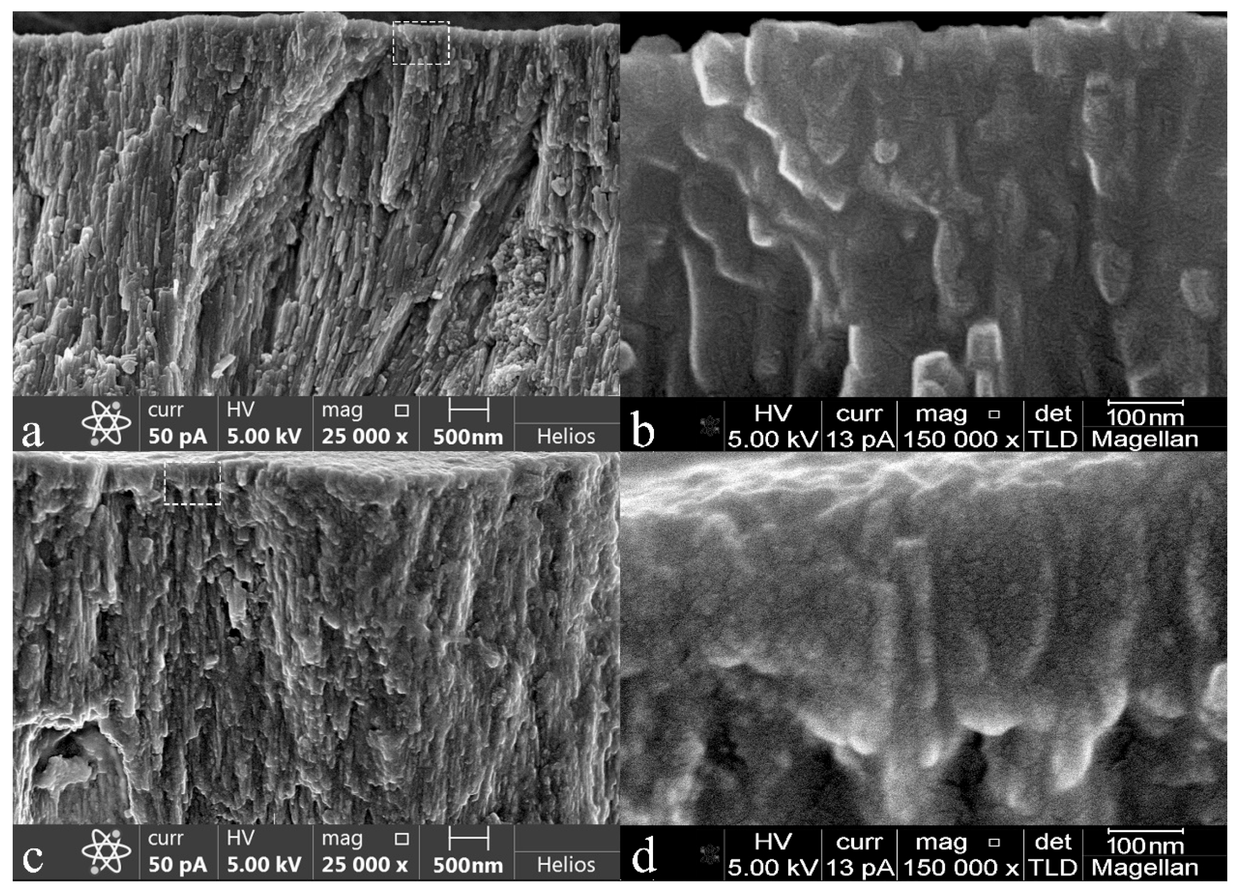 Biomimetics 07 00111 g006 550