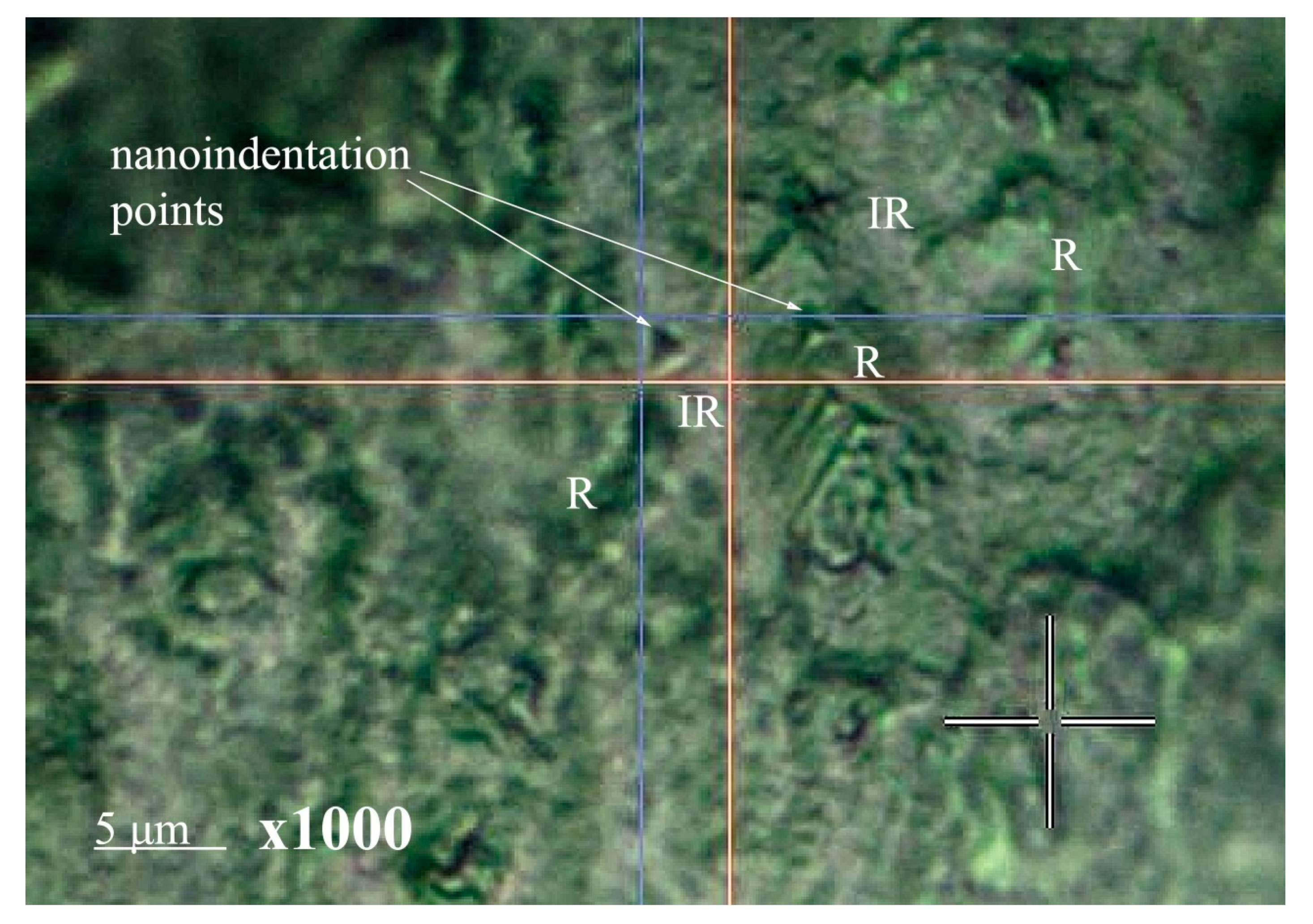 Biomimetics 07 00111 g012 550
