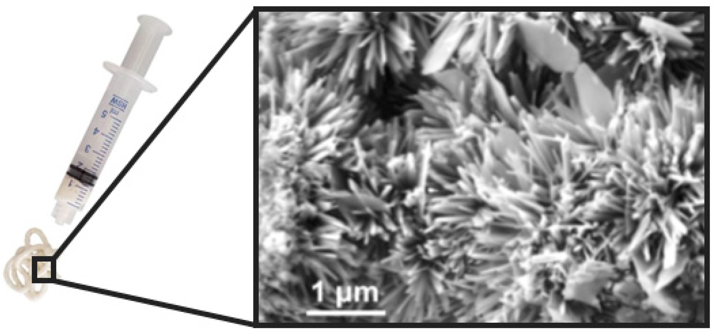 Biomimetics 07 00112 g004