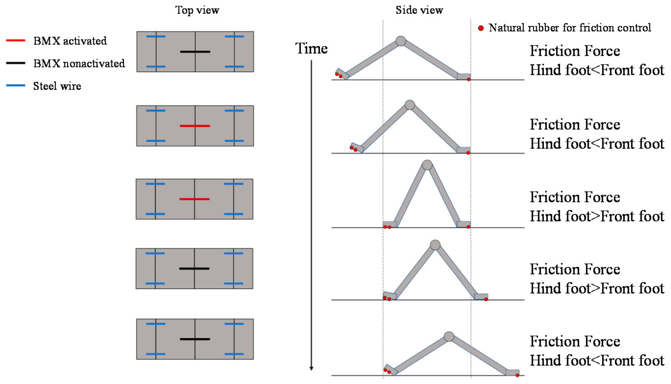 Biomimetics 07 00114 g015 550