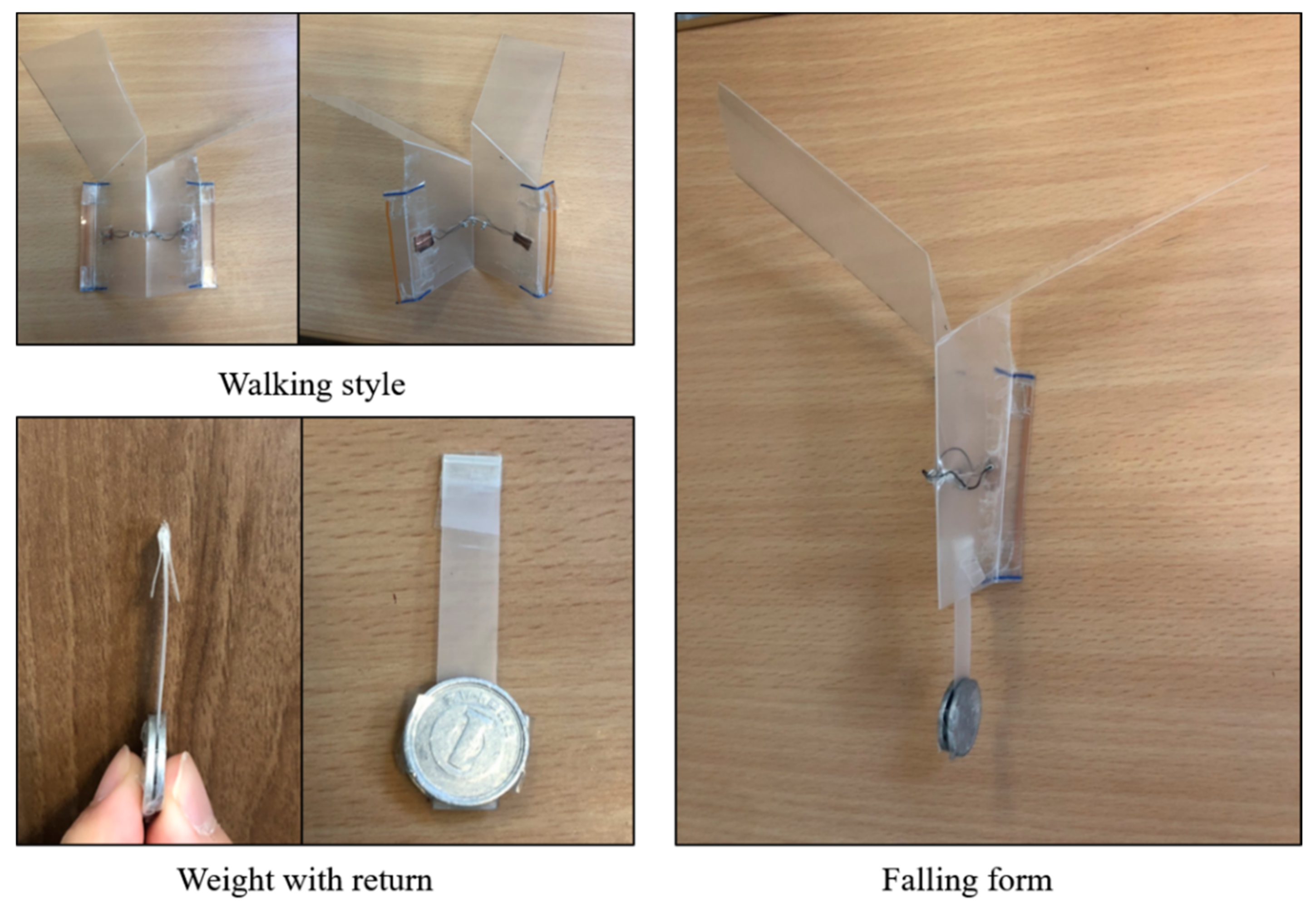 Biomimetics 07 00114 g016 550