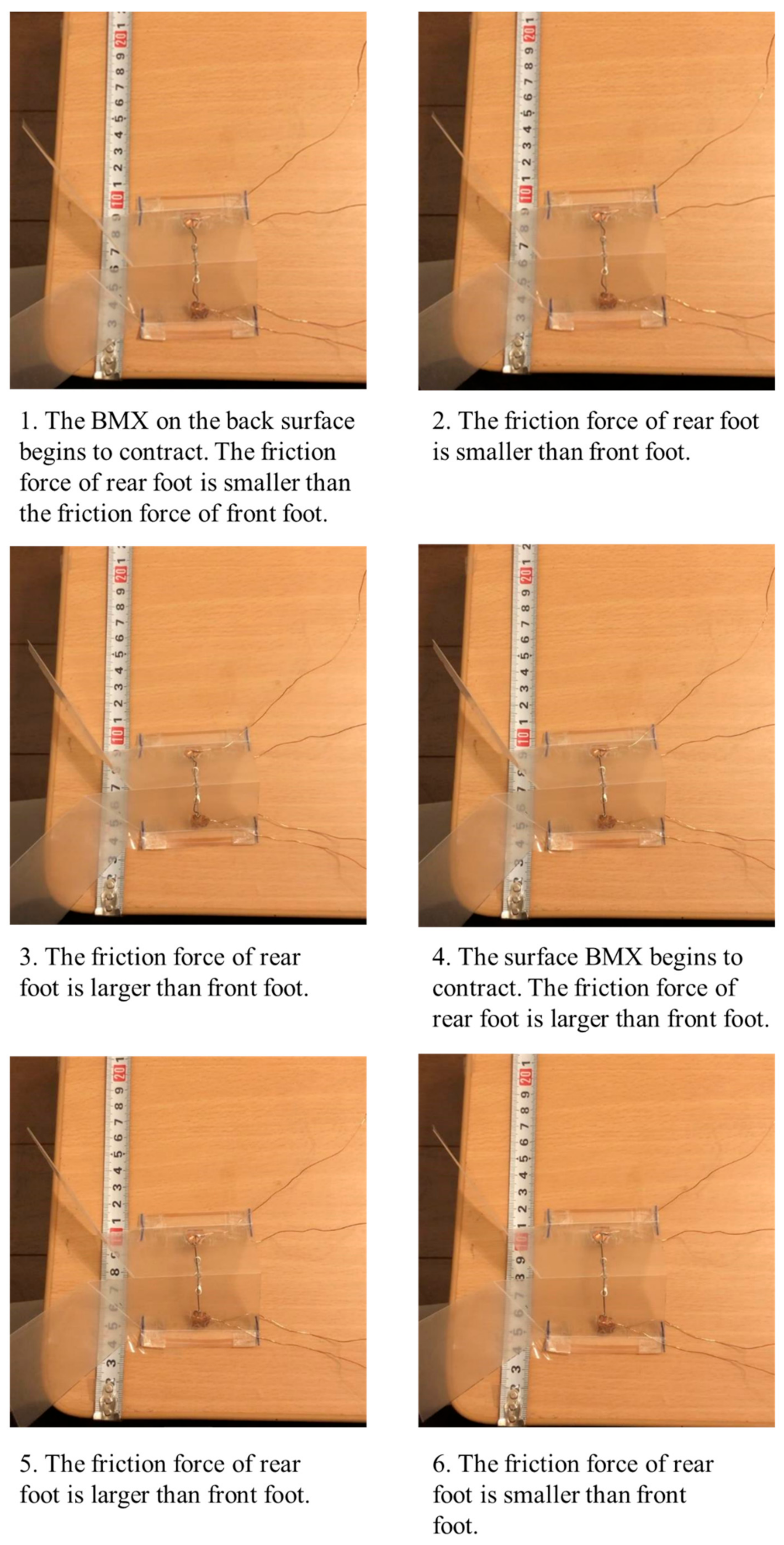 Biomimetics 07 00114 g018 550