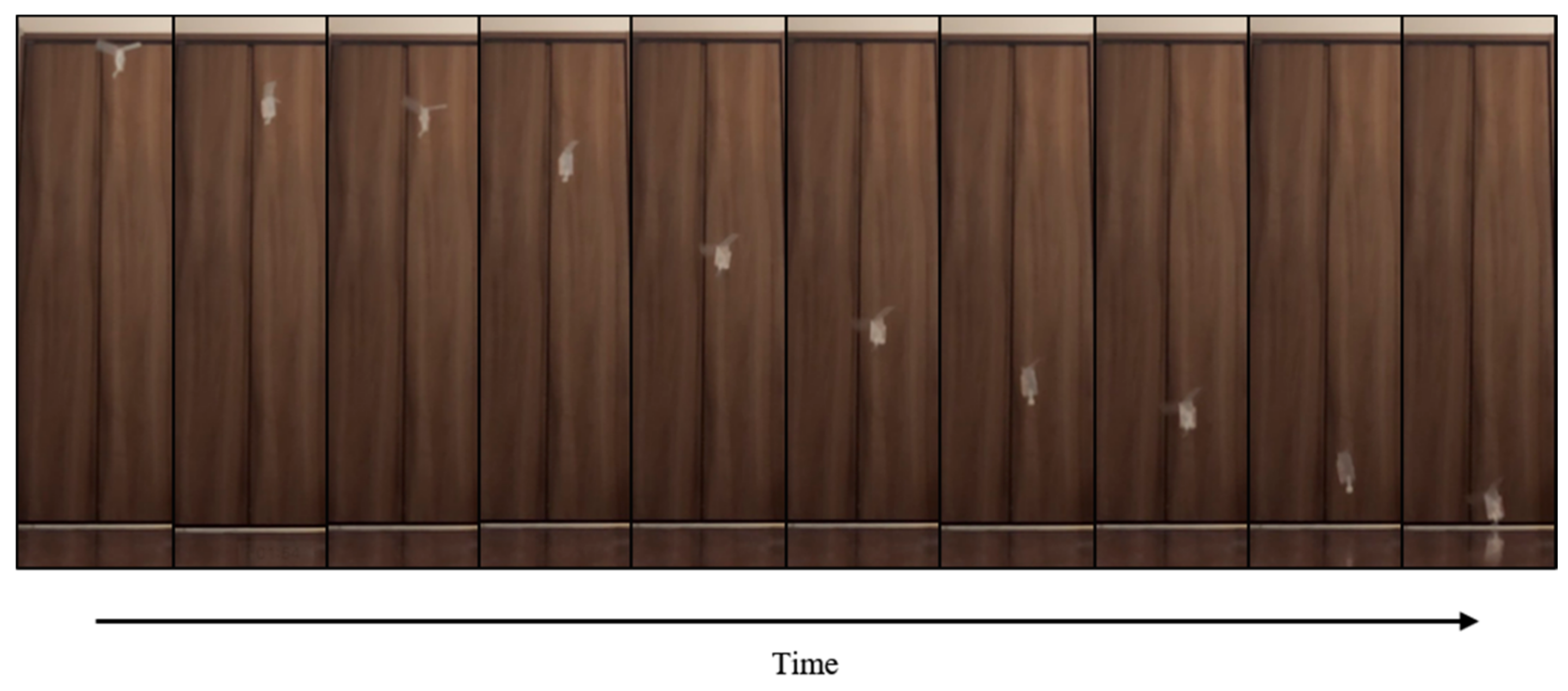 Biomimetics 07 00114 g019 550