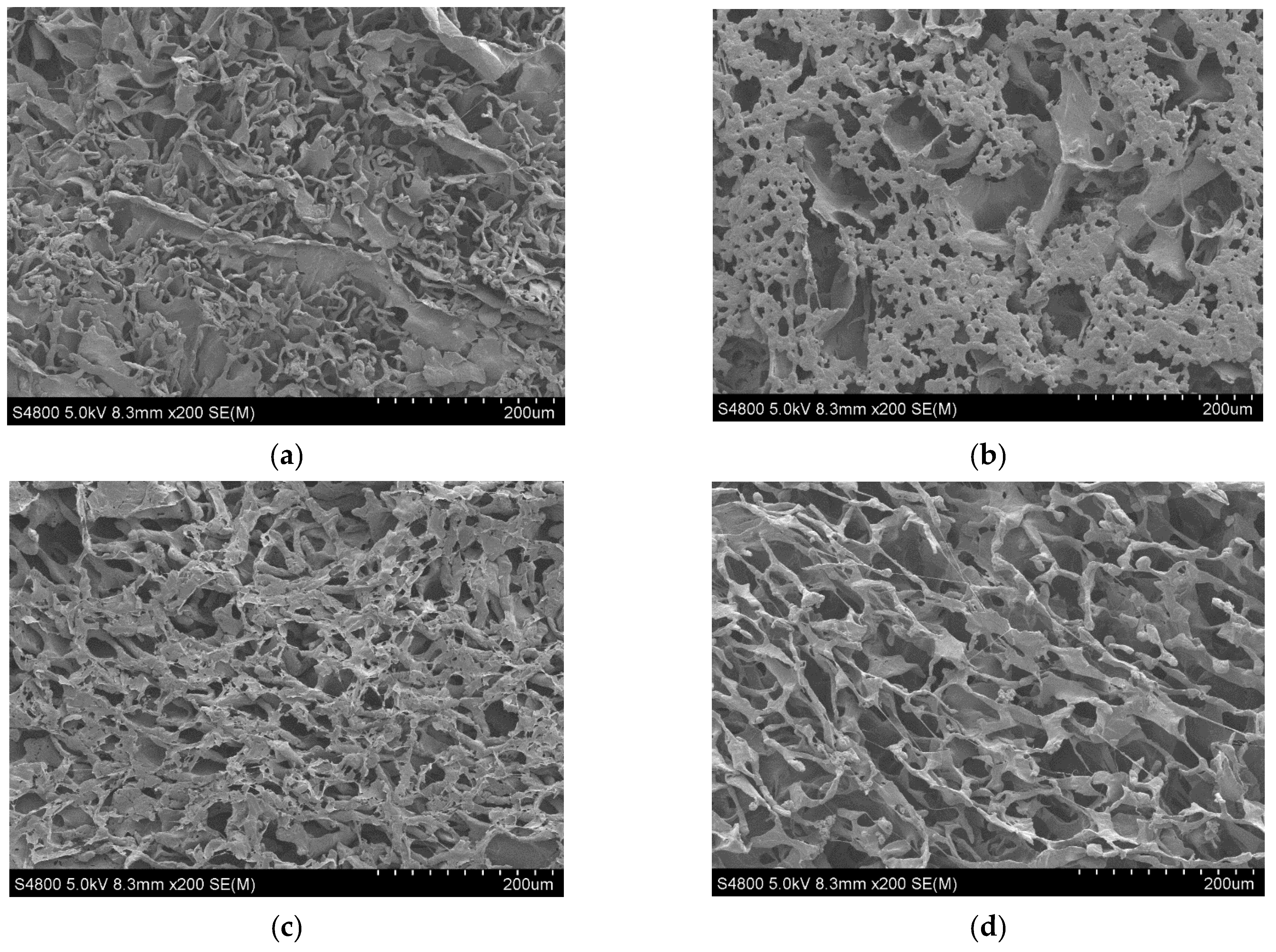 Biomimetics 07 00116 g002