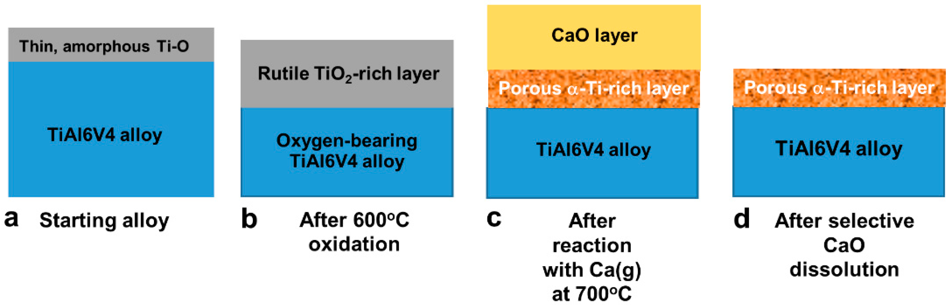 Biomimetics 07 00117 g001