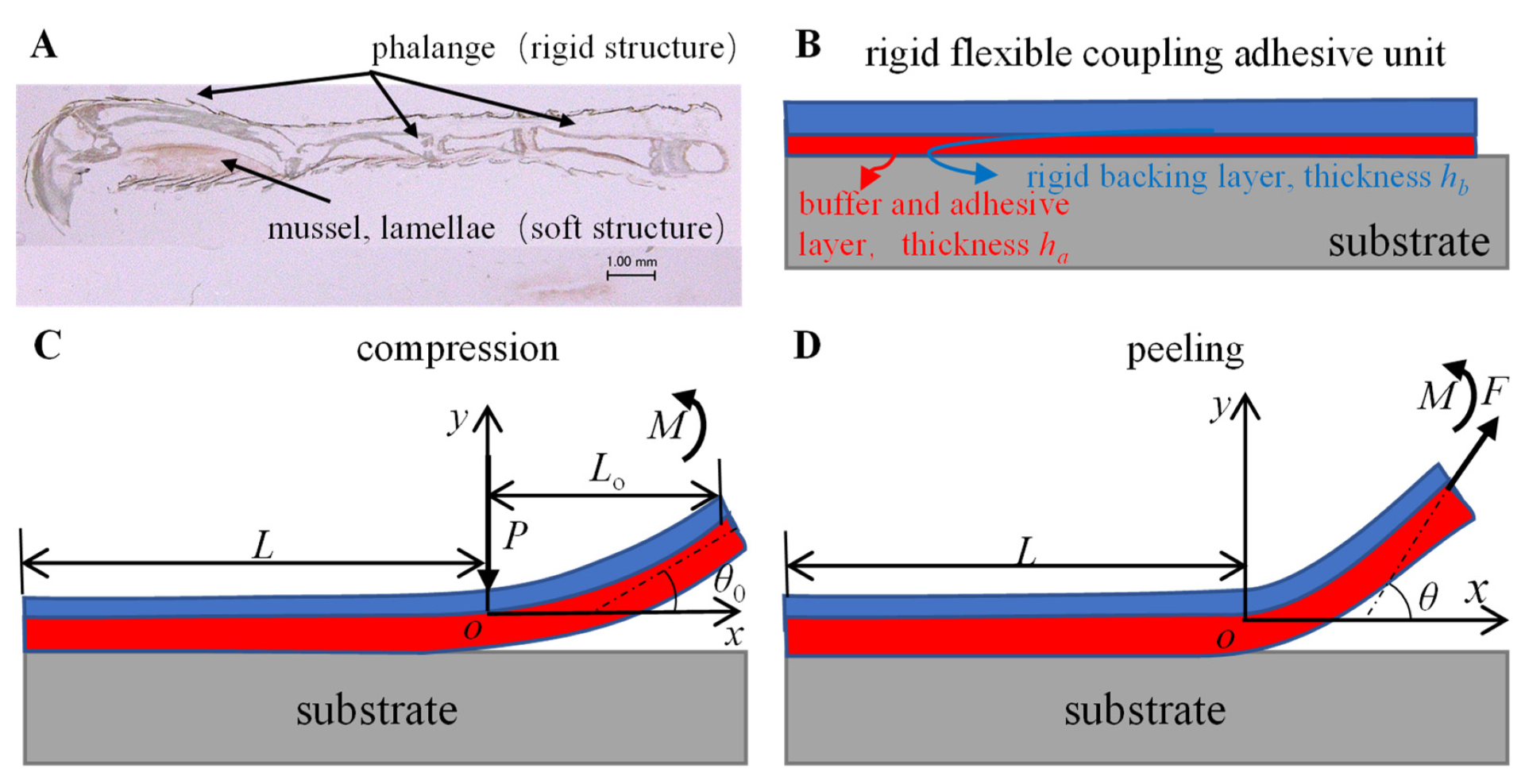 Biomimetics 07 00119 g001