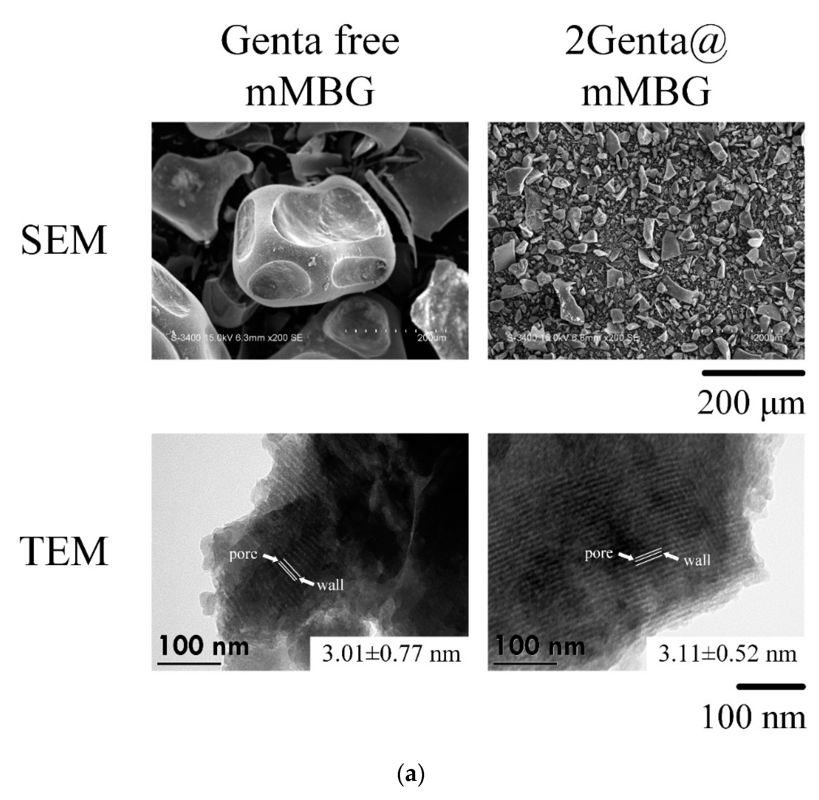 Biomimetics 07 00121 g005a