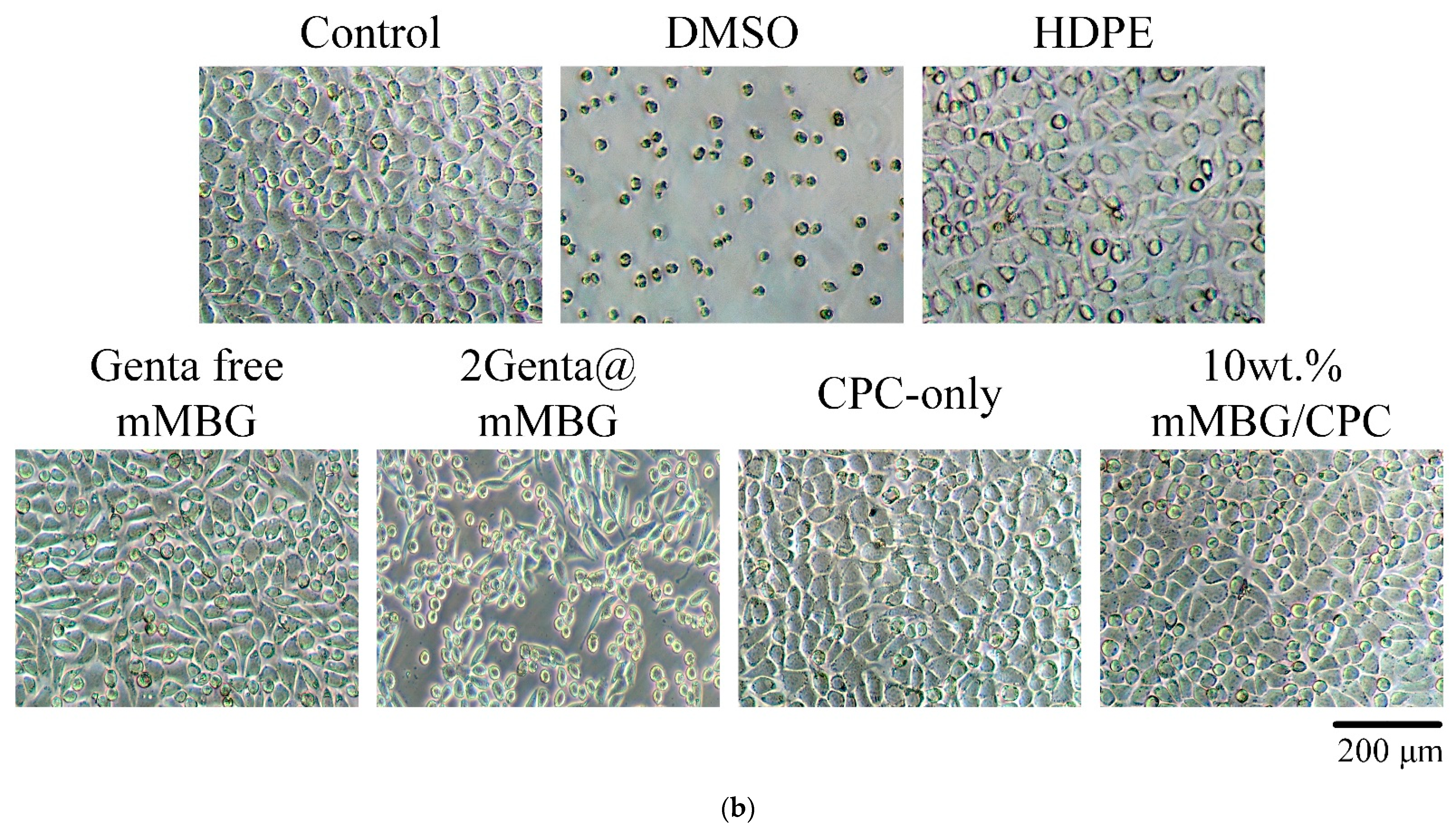 Biomimetics 07 00121 g008b