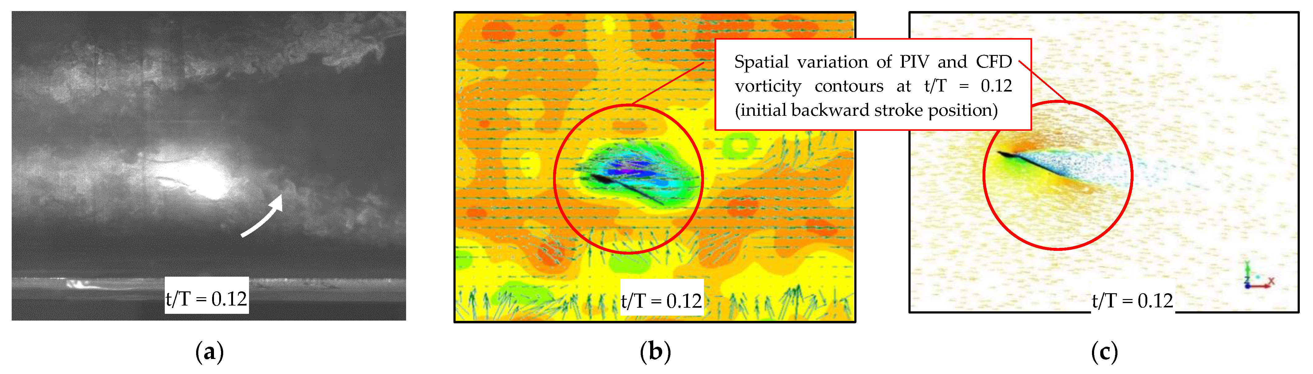 Biomimetics 07 00123 g008