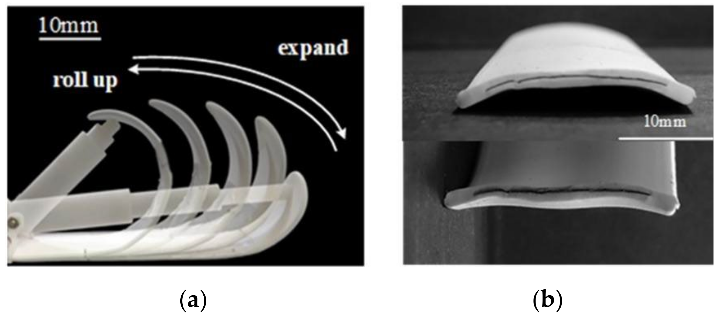 Biomimetics 07 00125 g013