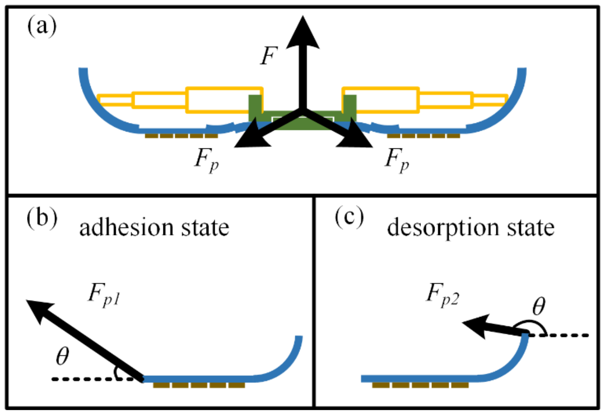 Biomimetics 07 00125 g015