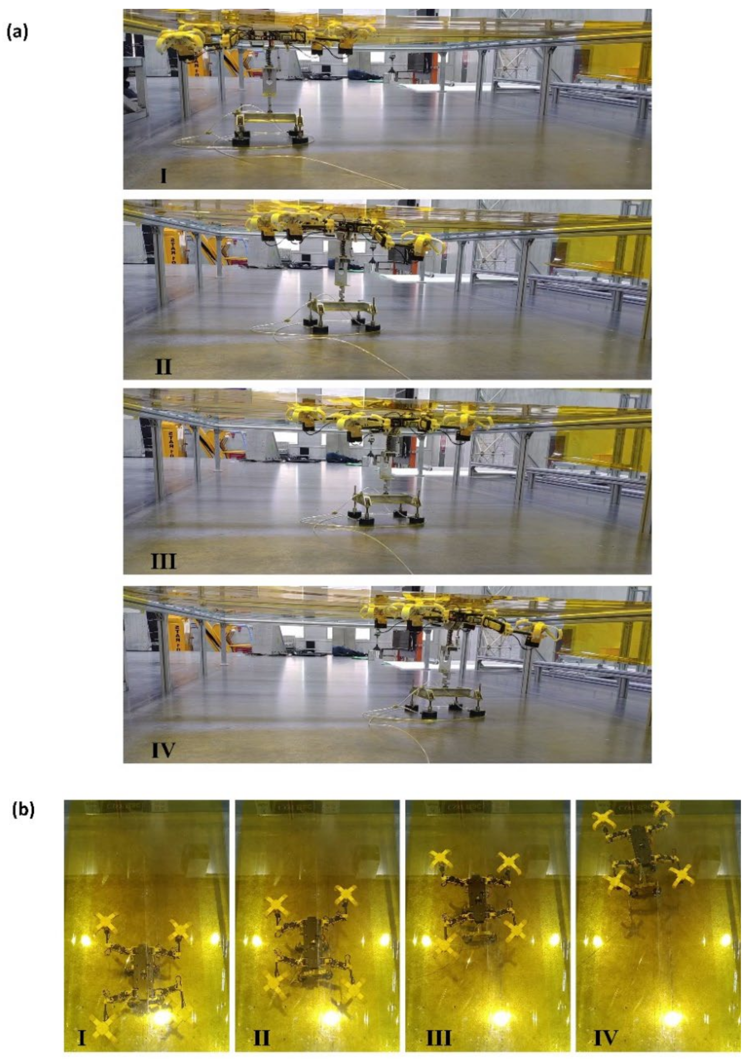 Biomimetics 07 00125 g018
