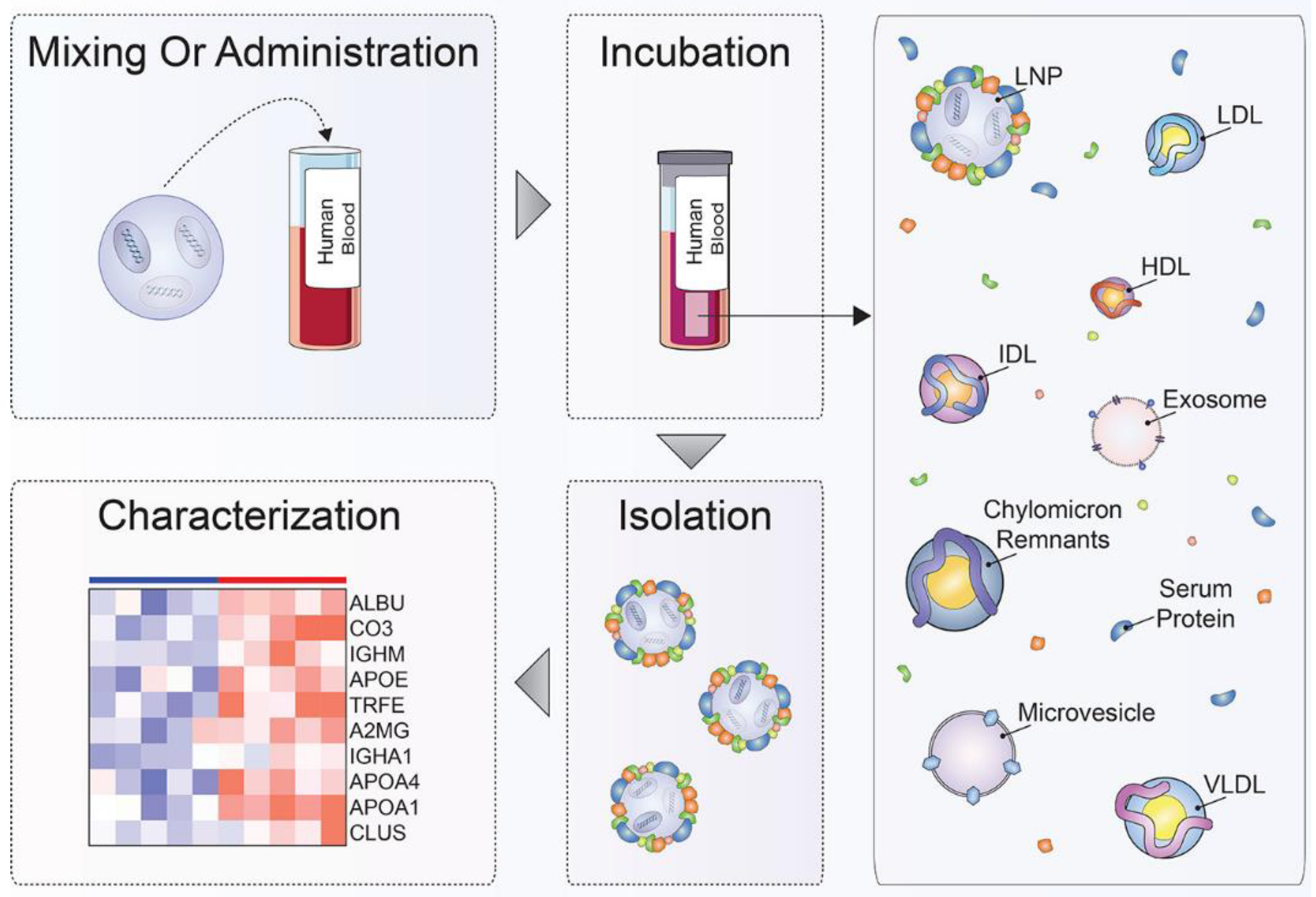Biomimetics 07 00126 g002 550