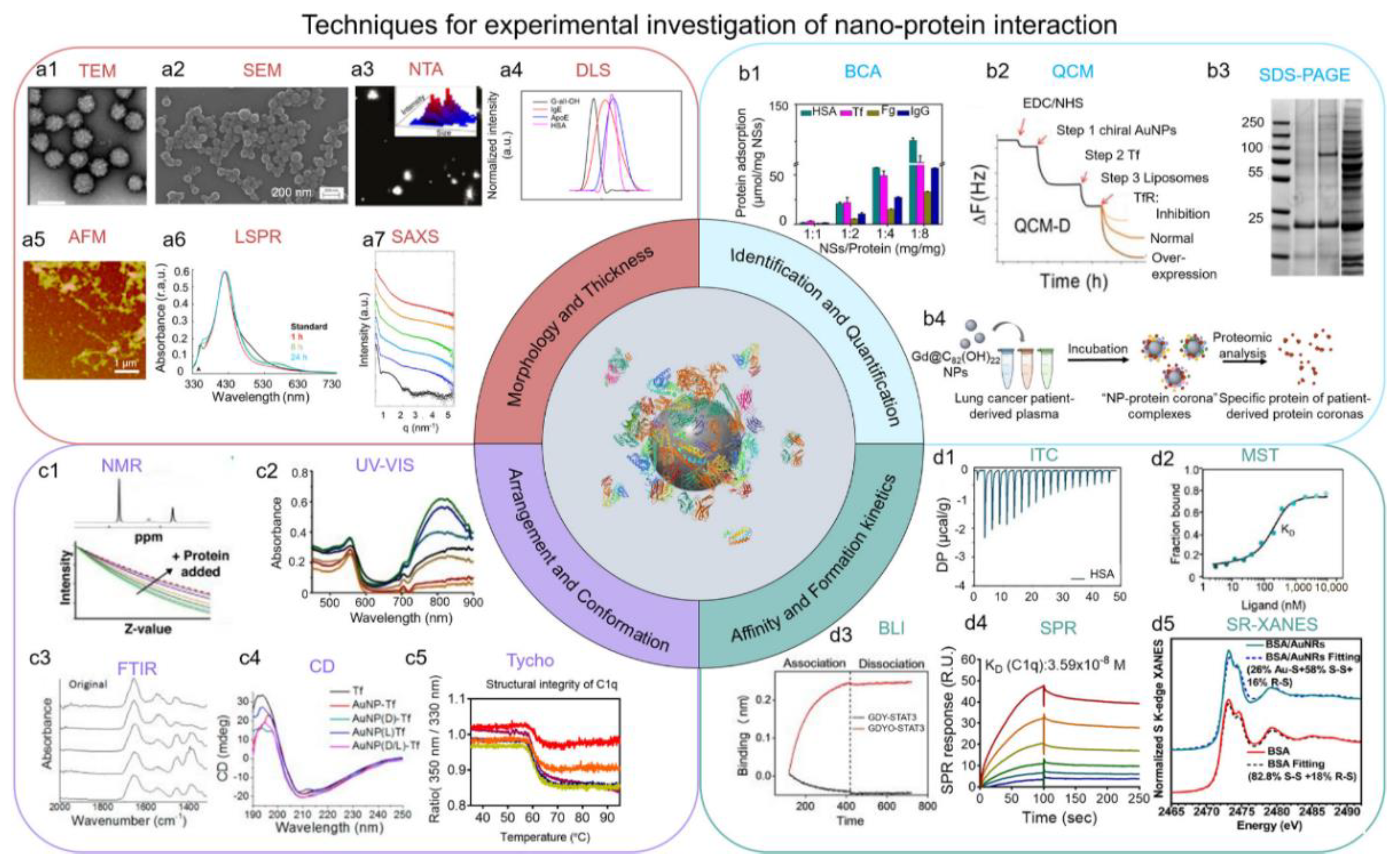 Biomimetics 07 00126 g003 550