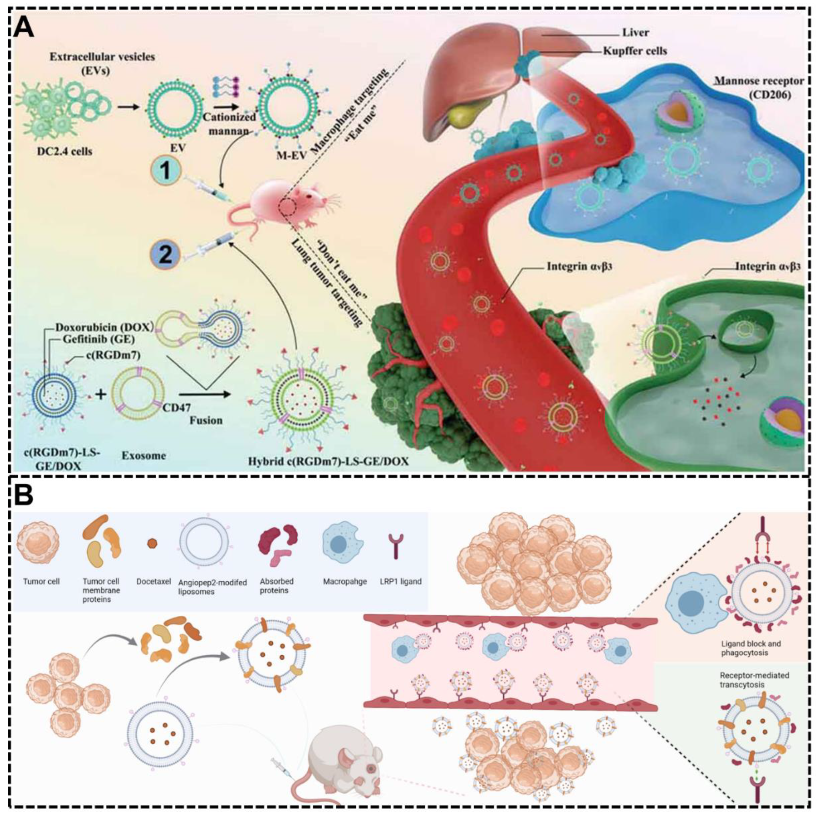 Biomimetics 07 00126 g006 550