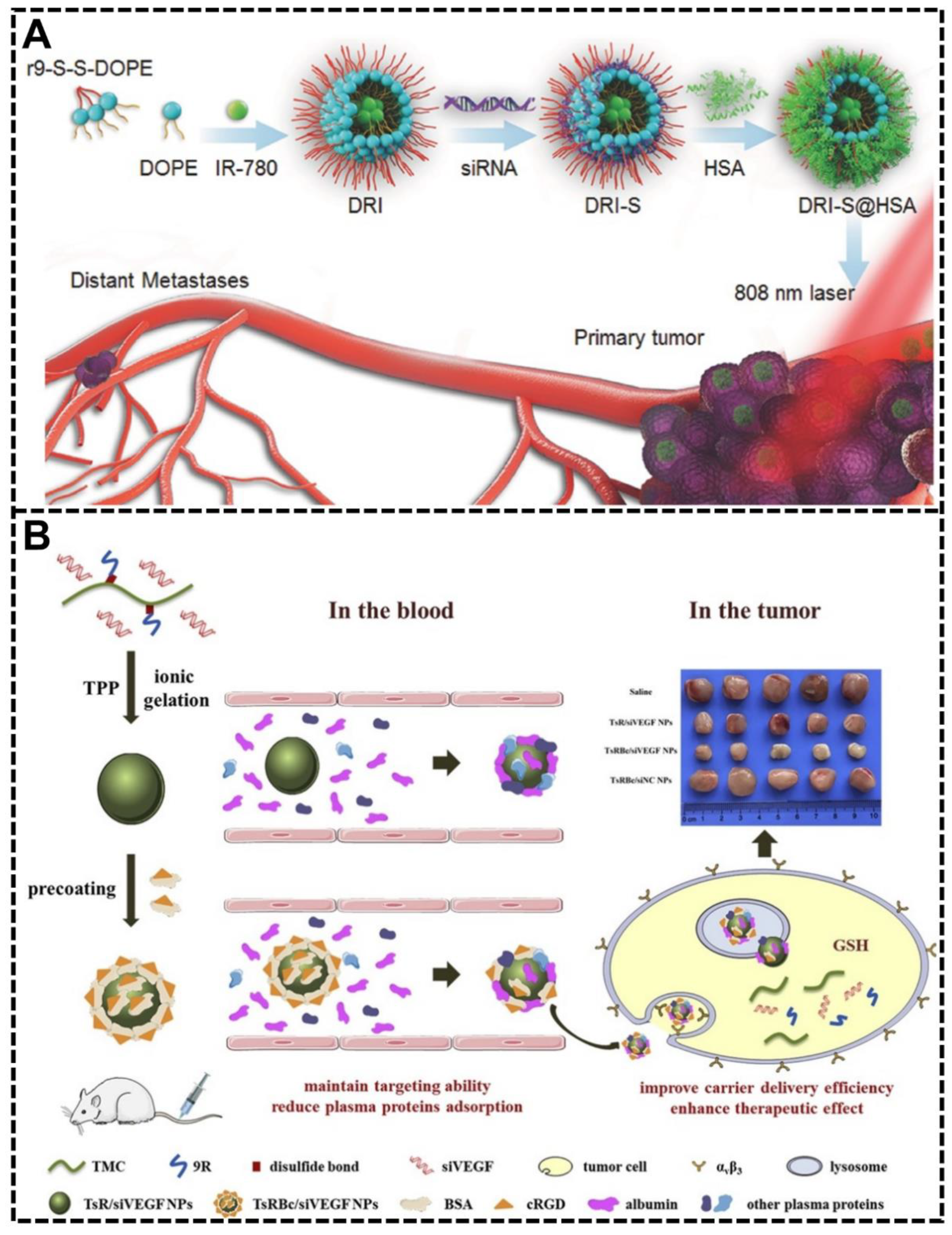 Biomimetics 07 00126 g008 550