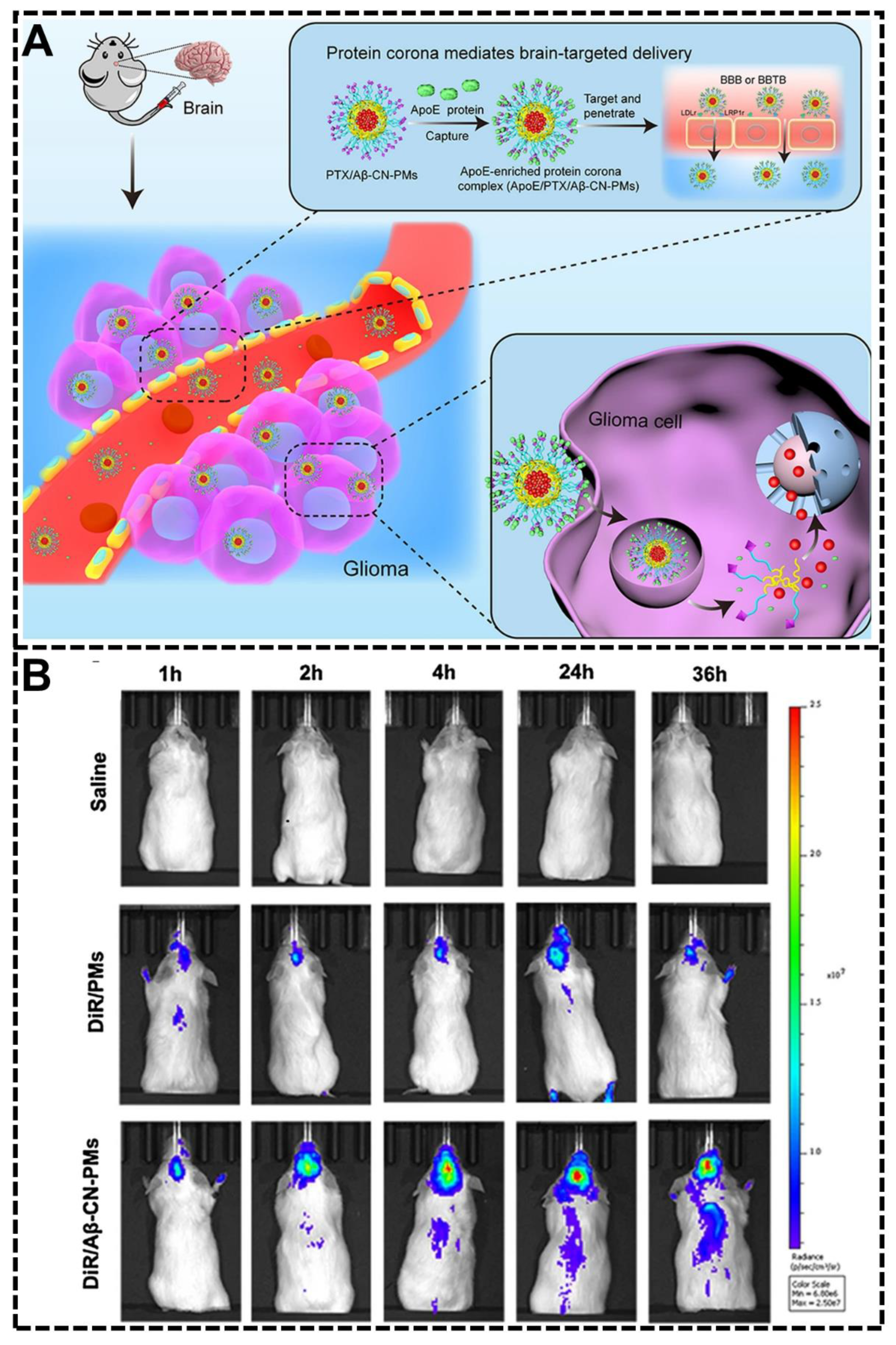 Biomimetics 07 00126 g009 550