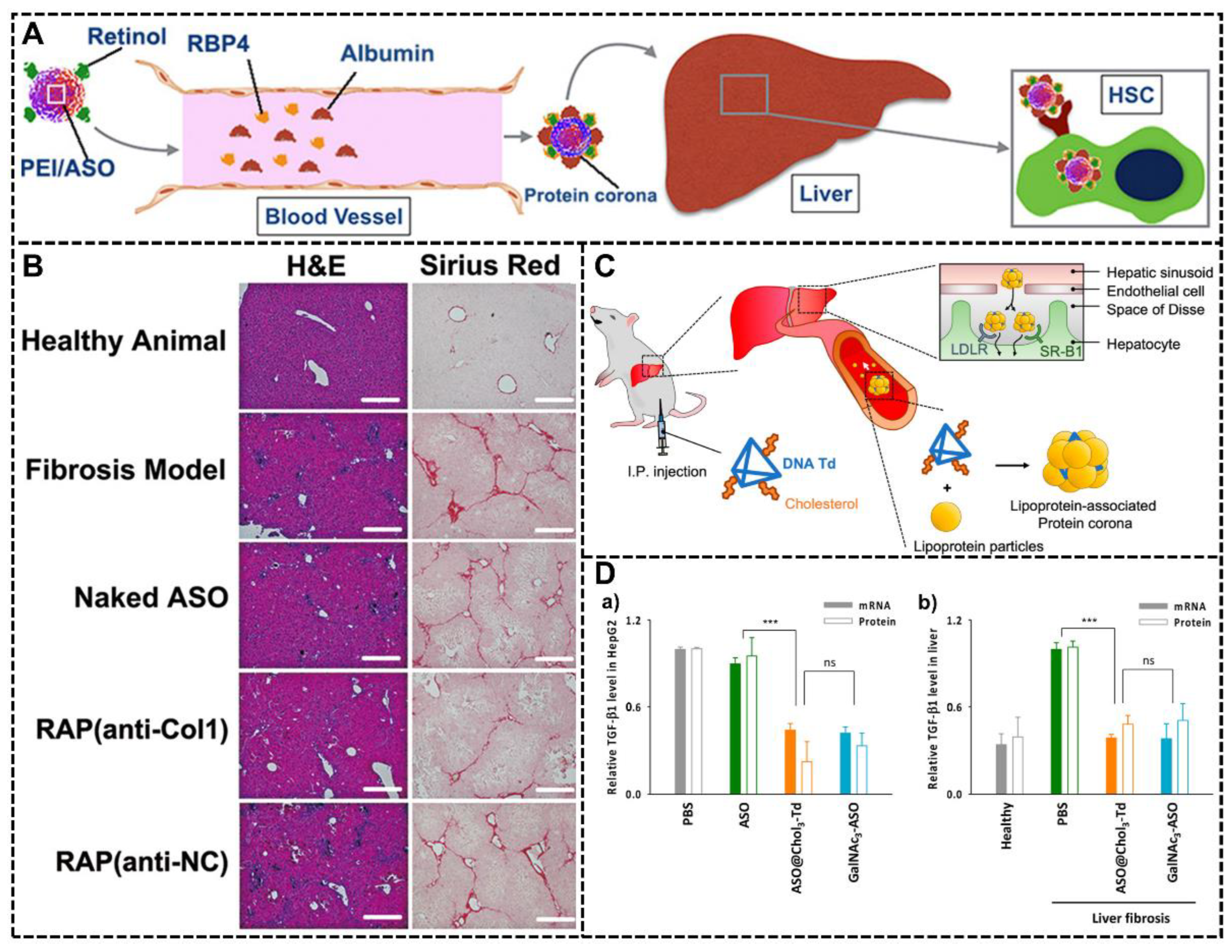 Biomimetics 07 00126 g010 550