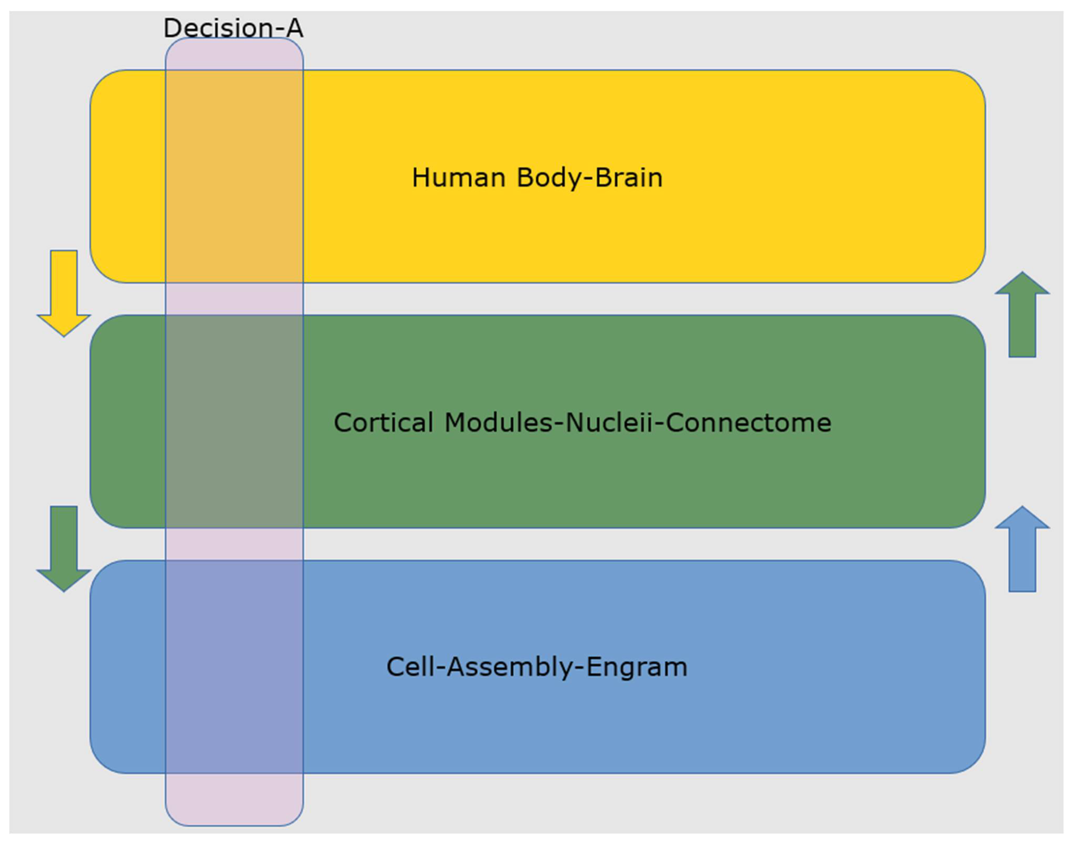 Biomimetics 07 00127 g002 550