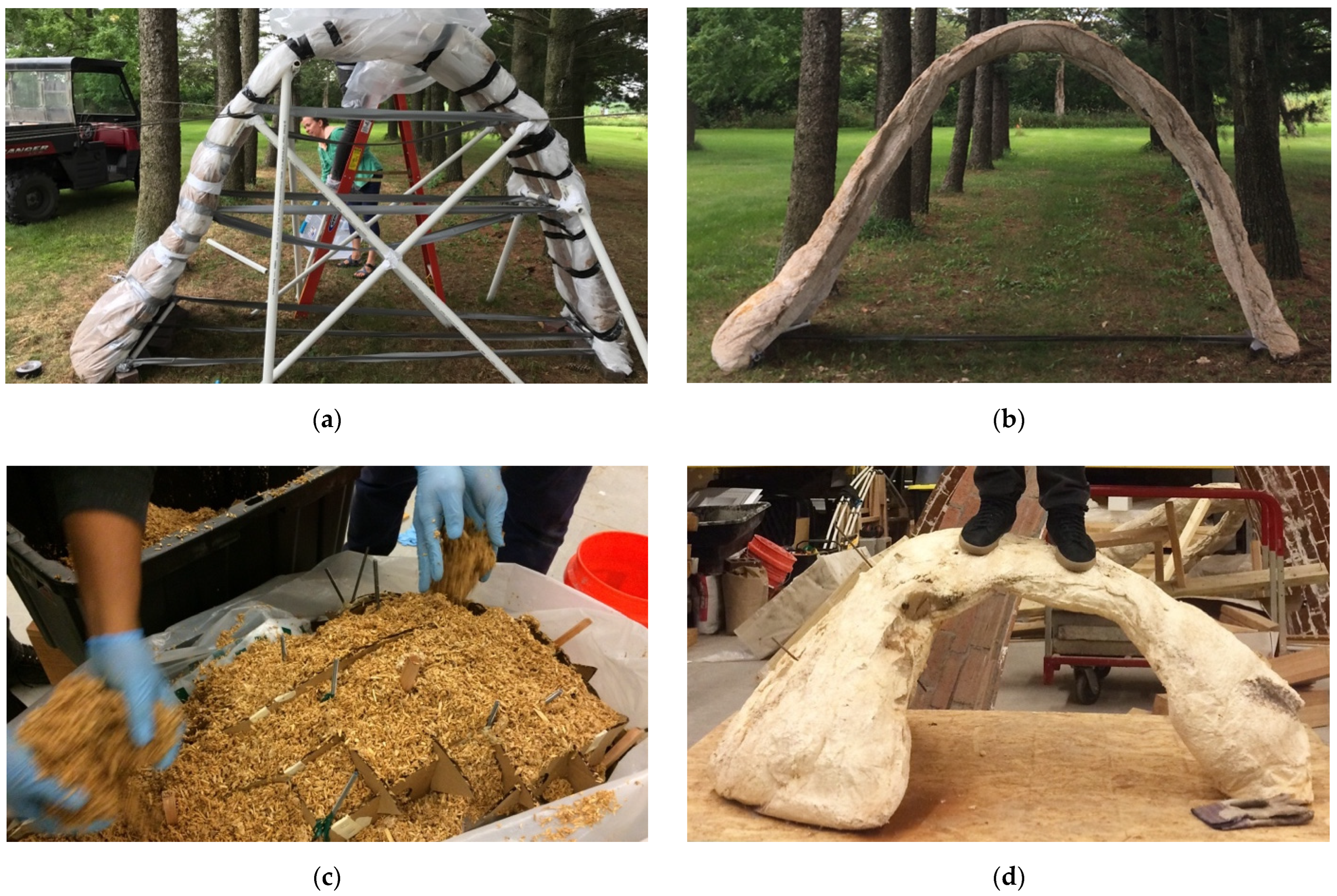 Biomimetics 07 00129 g001 550