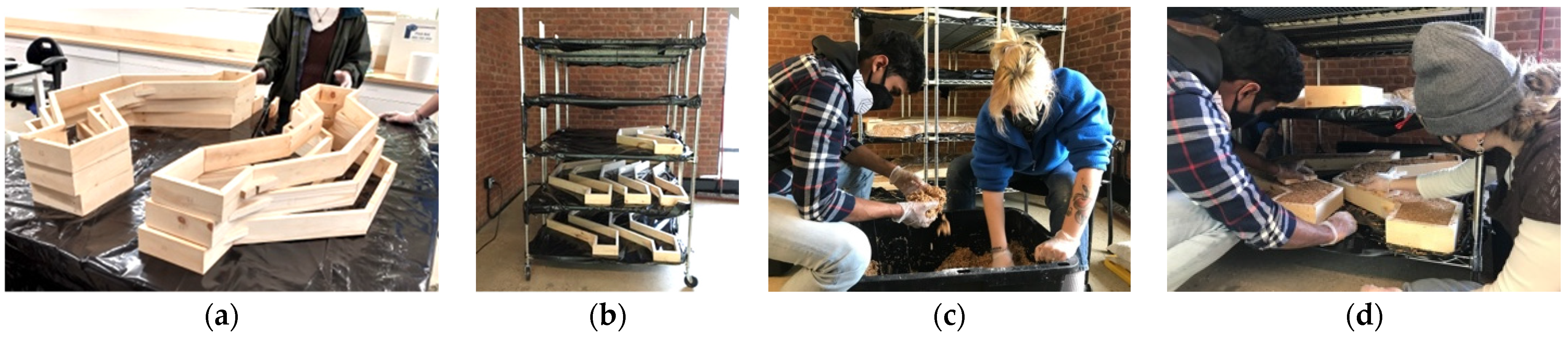 Biomimetics 07 00129 g009a 550