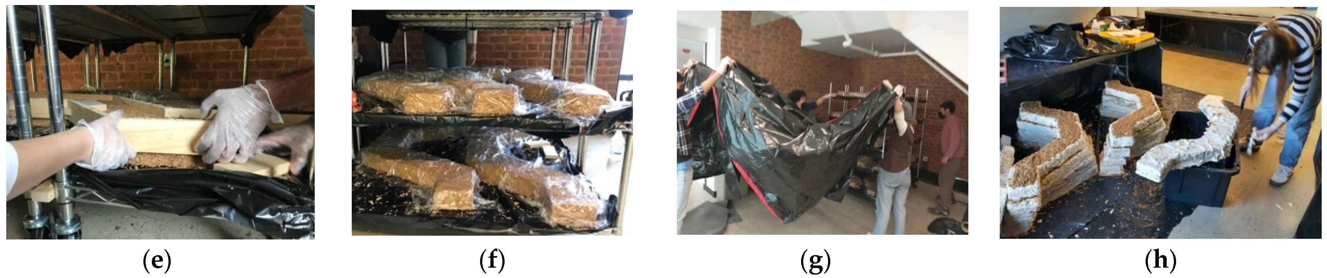 Biomimetics 07 00129 g009b 550