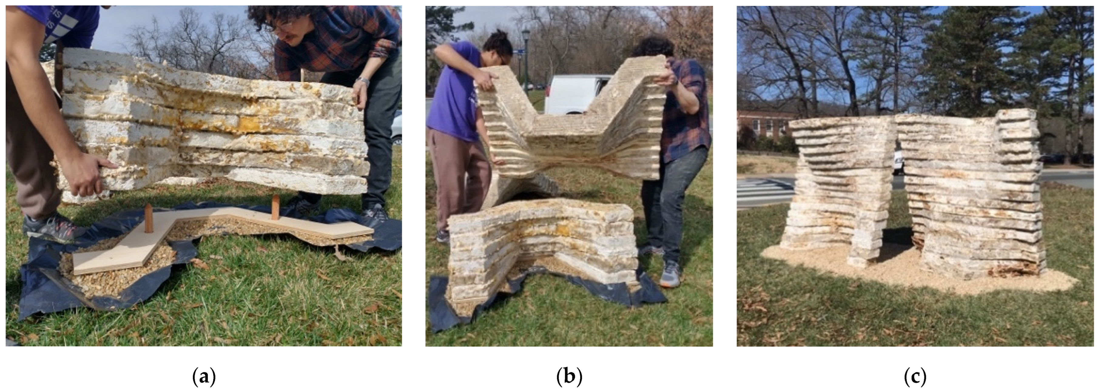 Biomimetics 07 00129 g010 550