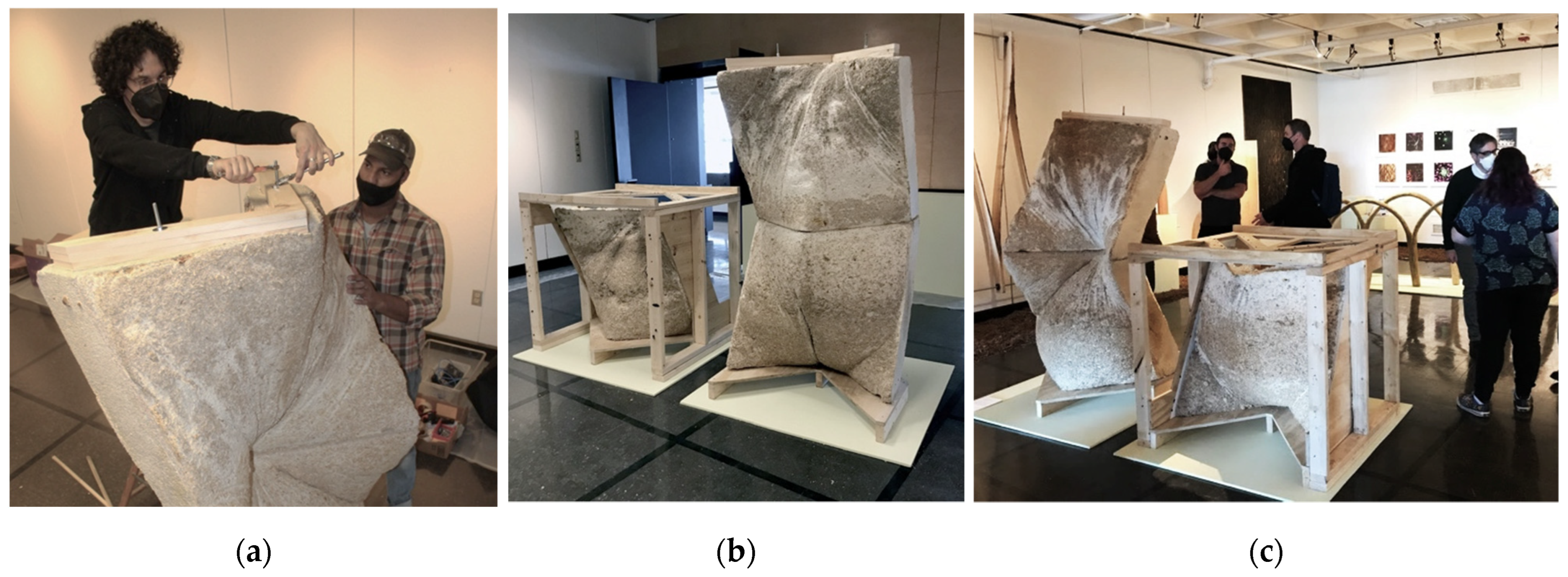 Biomimetics 07 00129 g015 550