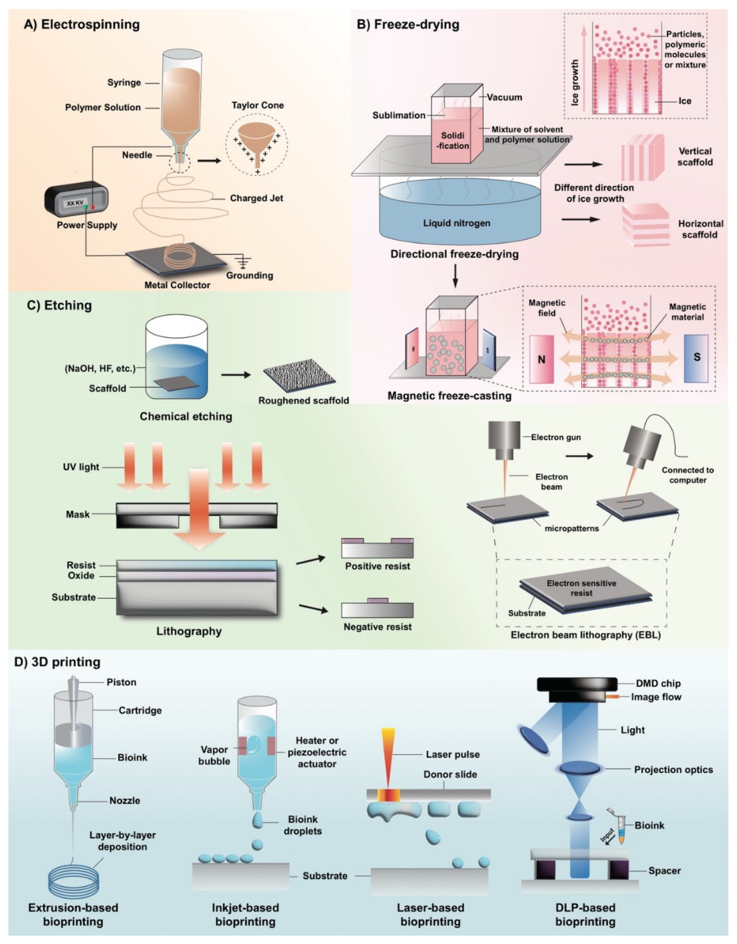 Biomimetics 07 00131 g001
